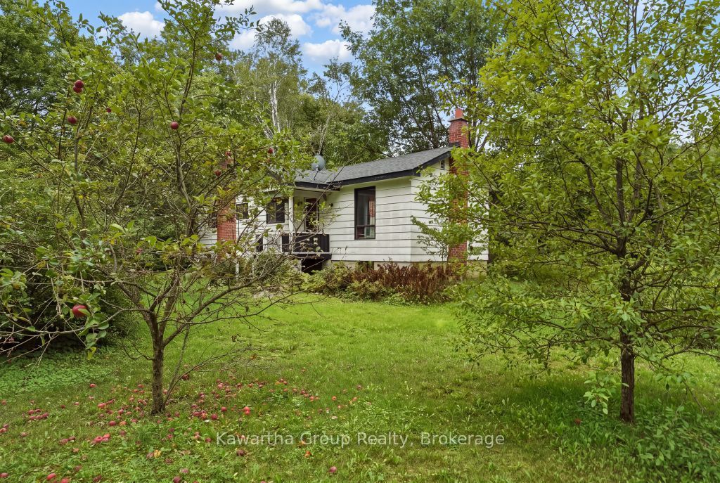 15 Cameron Road Property Photo 46