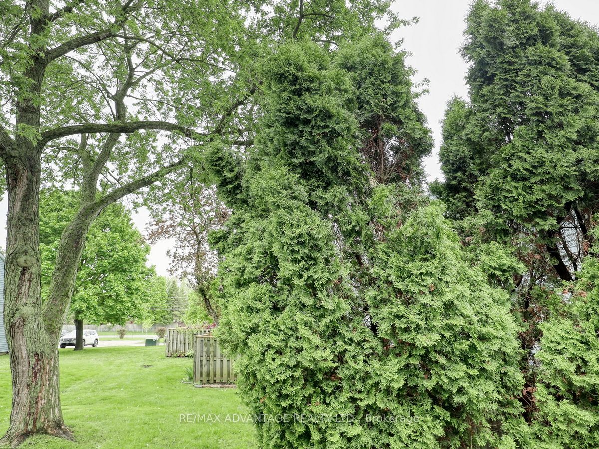 132 Monmore Road Property Photo 46