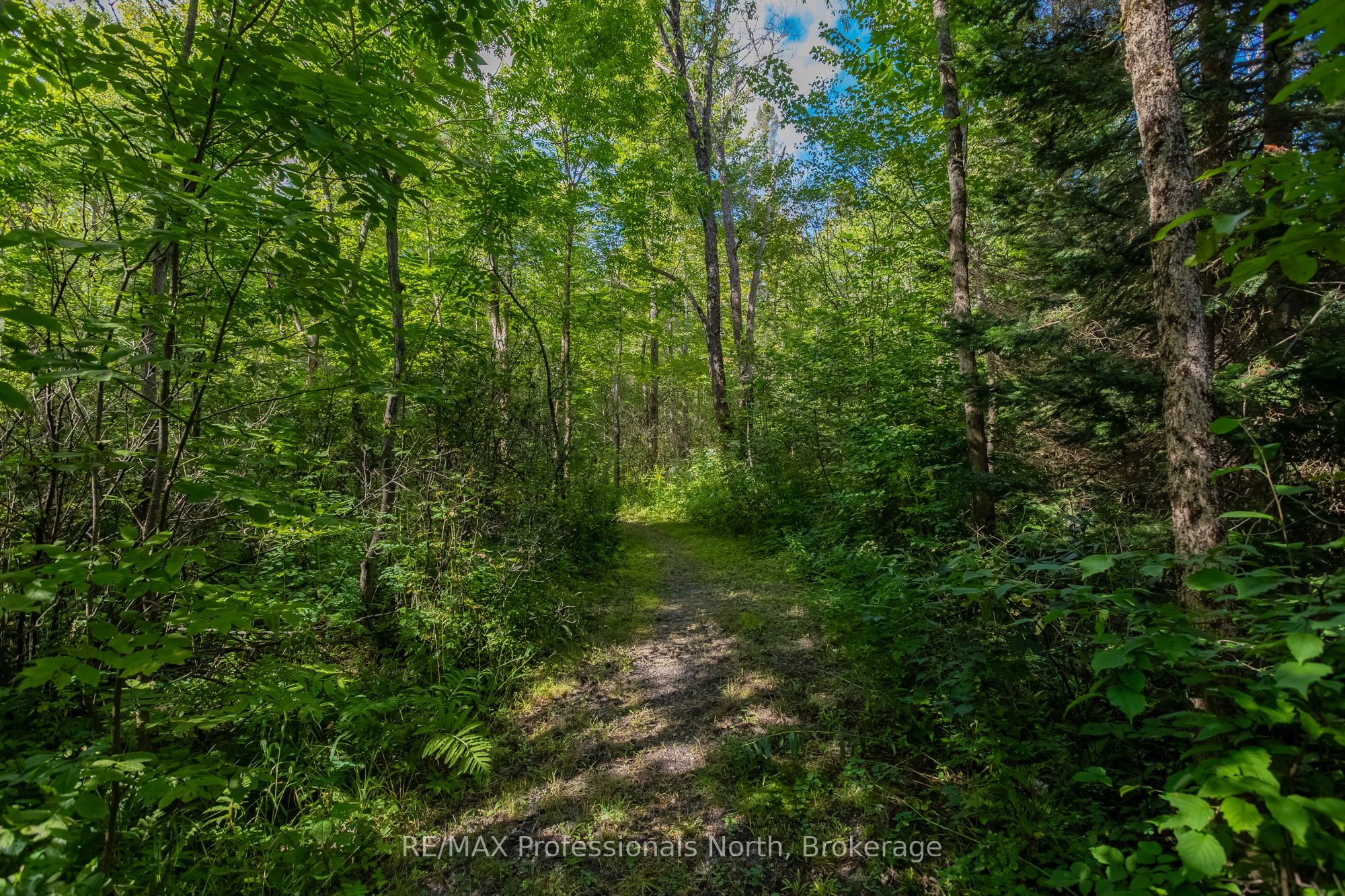1547 North Pickerel Lake Road Property Photo 17