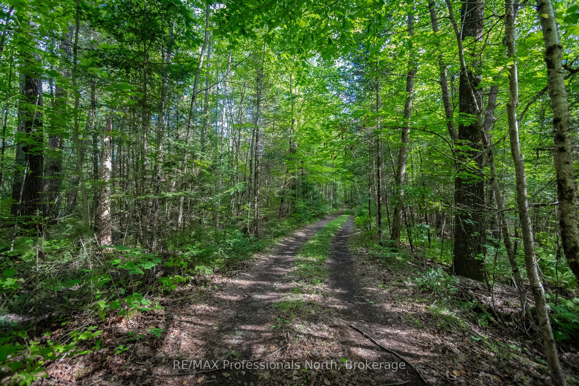 1547 North Pickerel Lake Road Property Photo 35