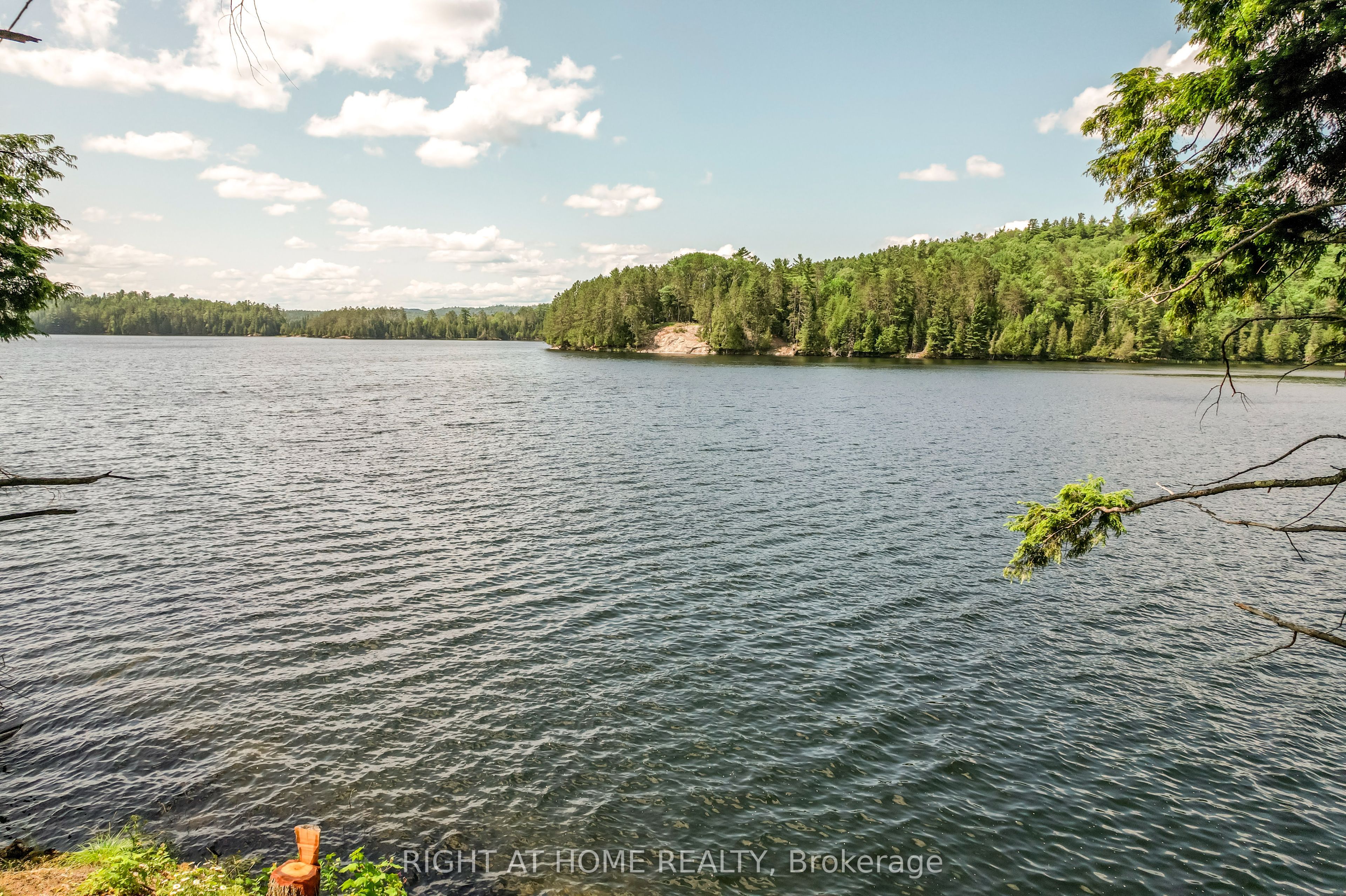 592 Moccasin Lake Road Property Photo 6