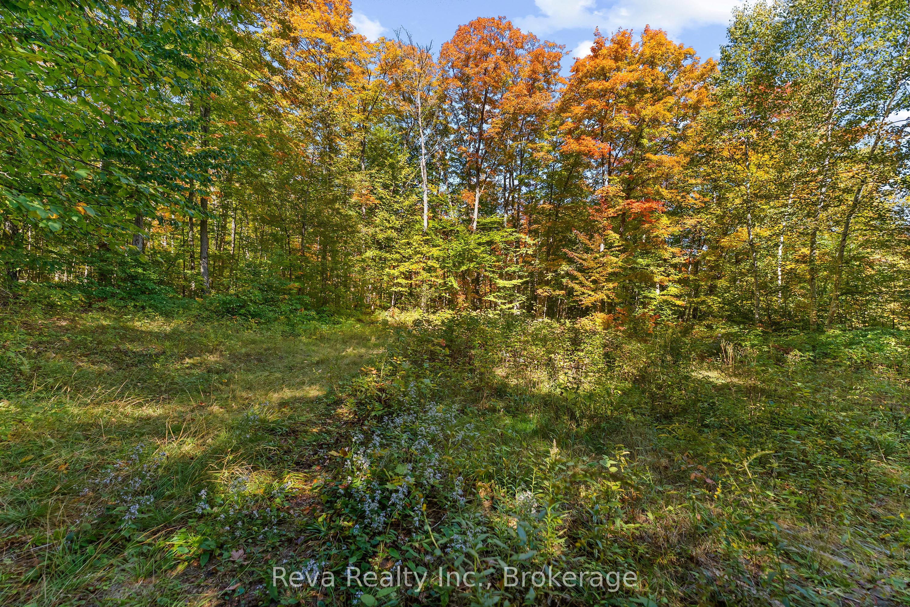 219 Elgin Road Property Photo 22