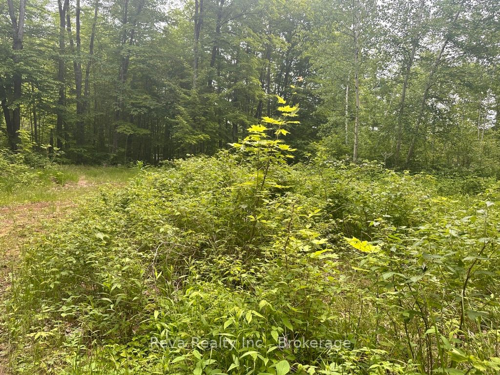 219 Elgin Road Property Photo 27