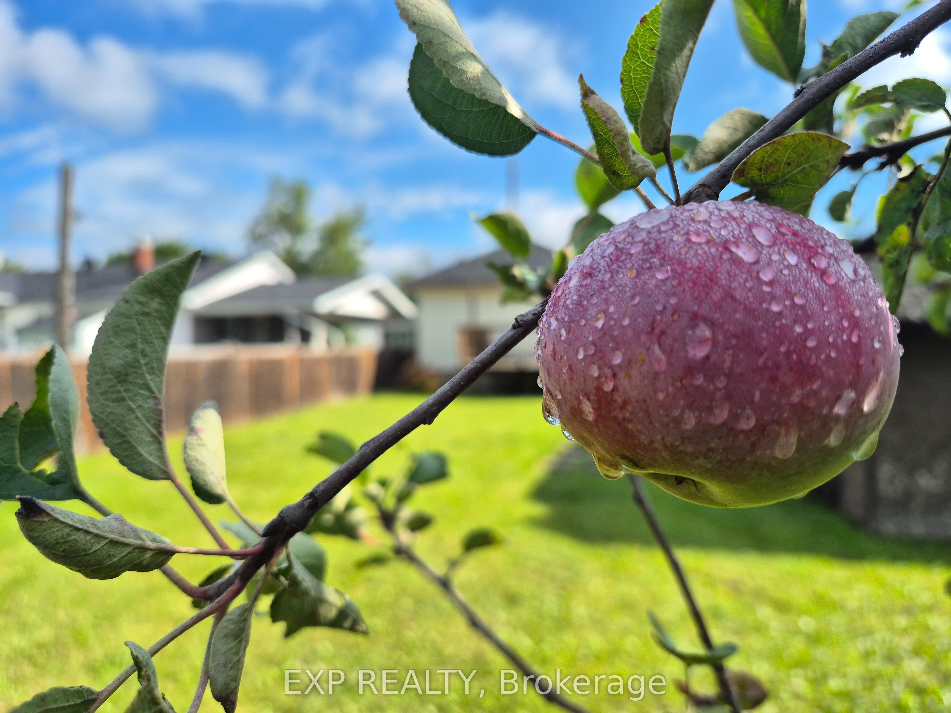 170 June Street Property Photo 6