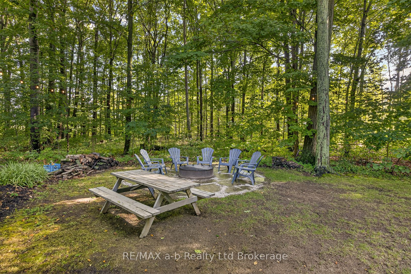 9741 Coyle Road Property Photo 39