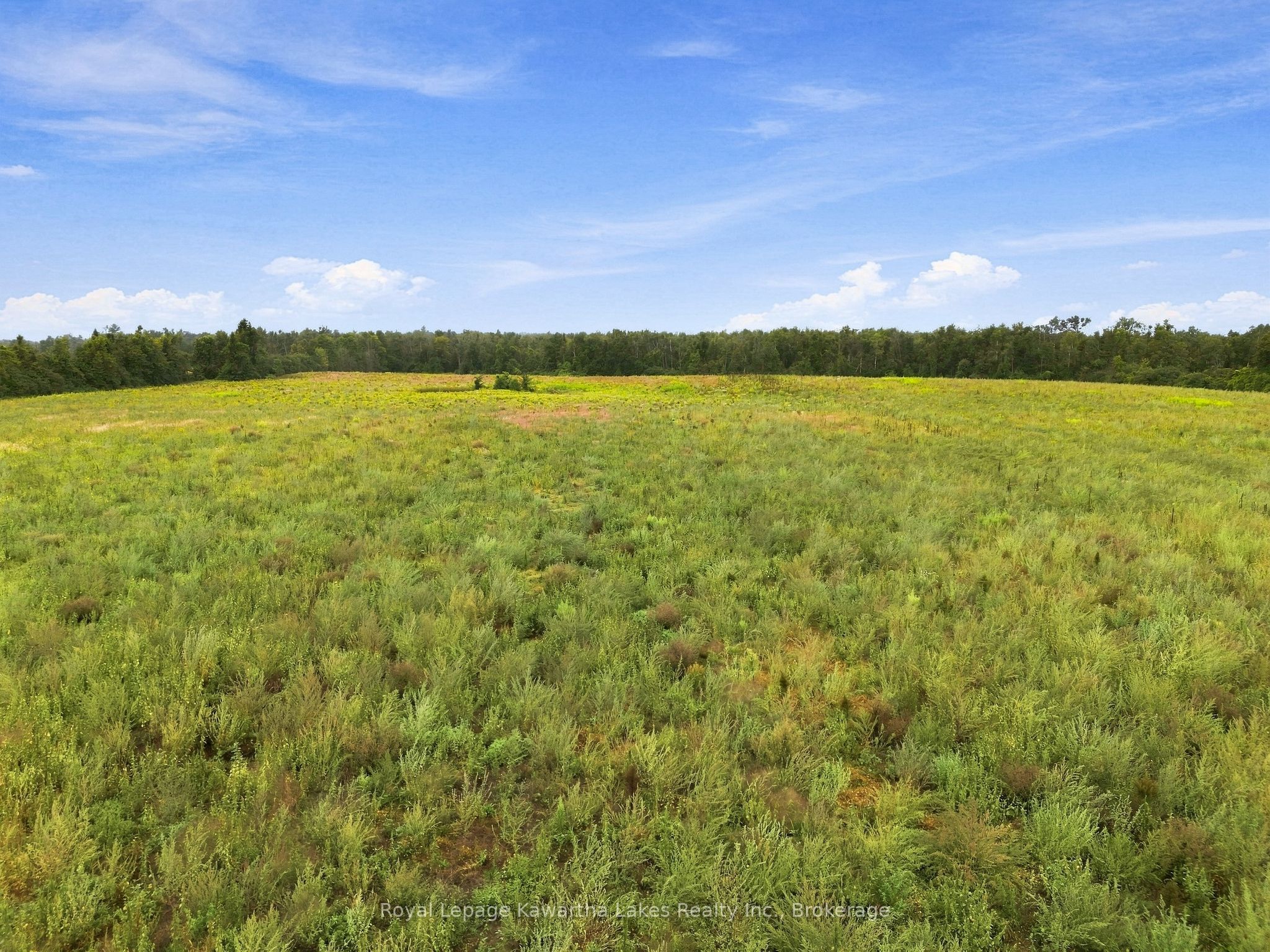 583 Hillhead Road Property Photo 10