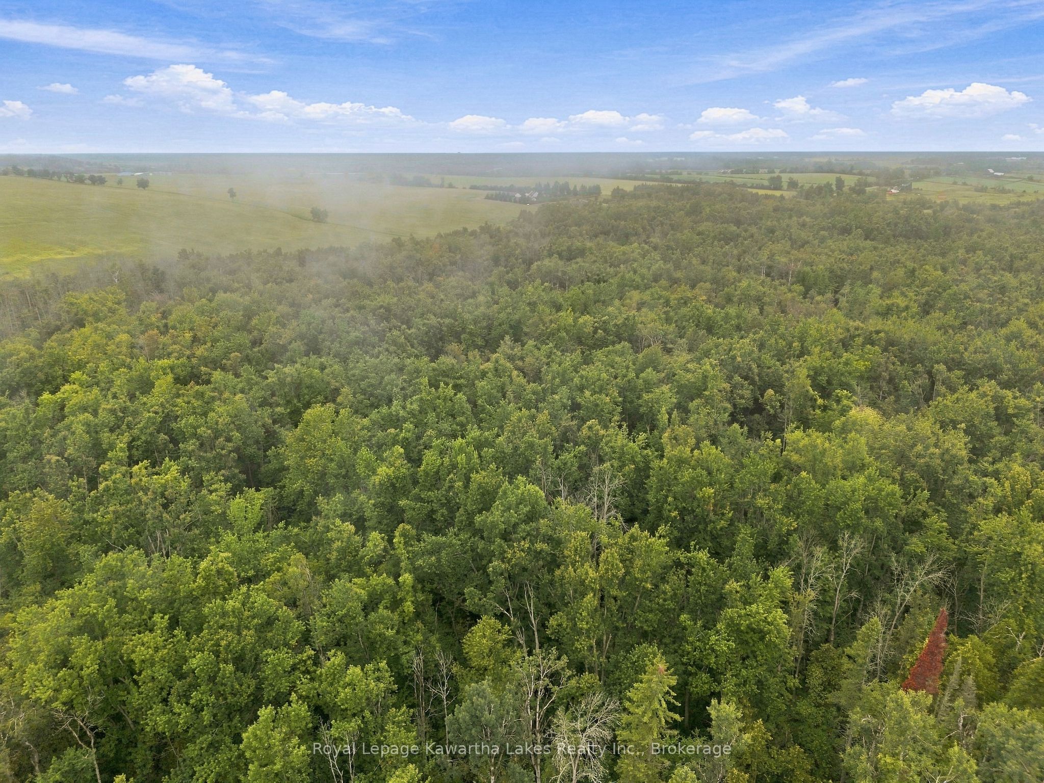 583 Hillhead Road Property Photo 14