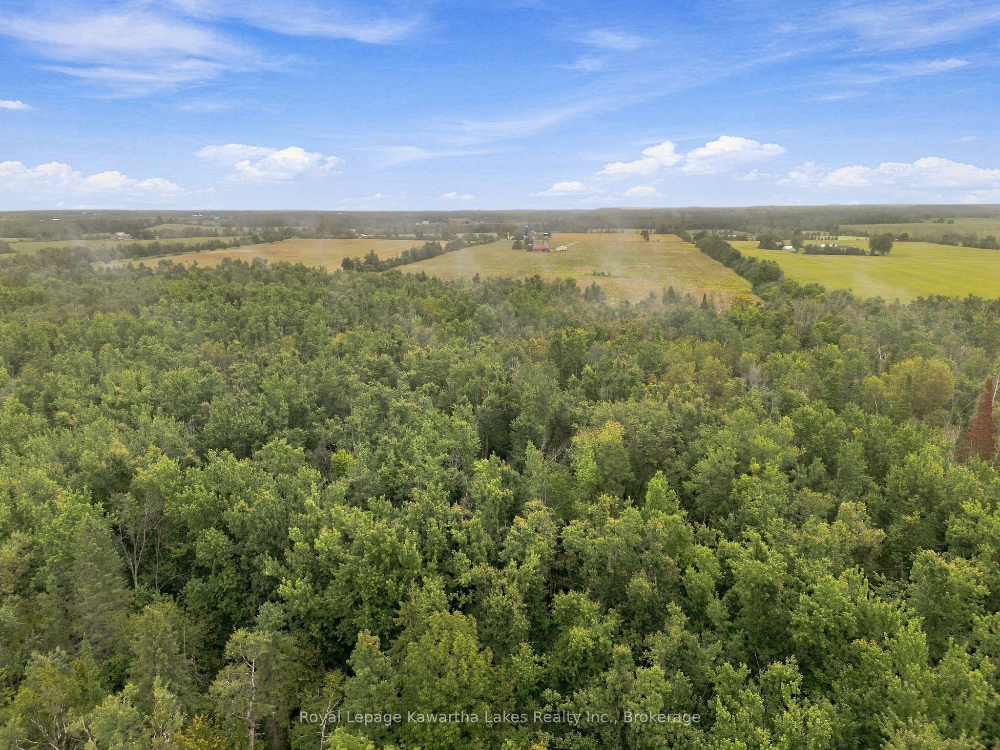 583 Hillhead Road Property Photo 15