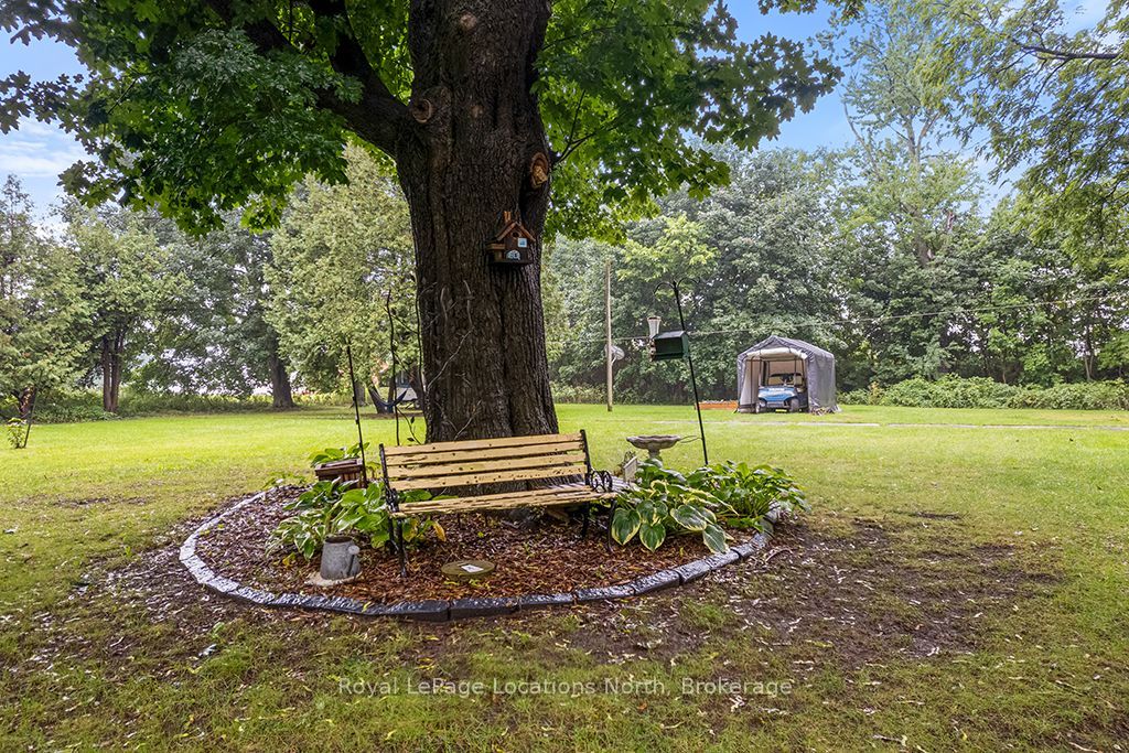 105 Craig Street Property Photo 41