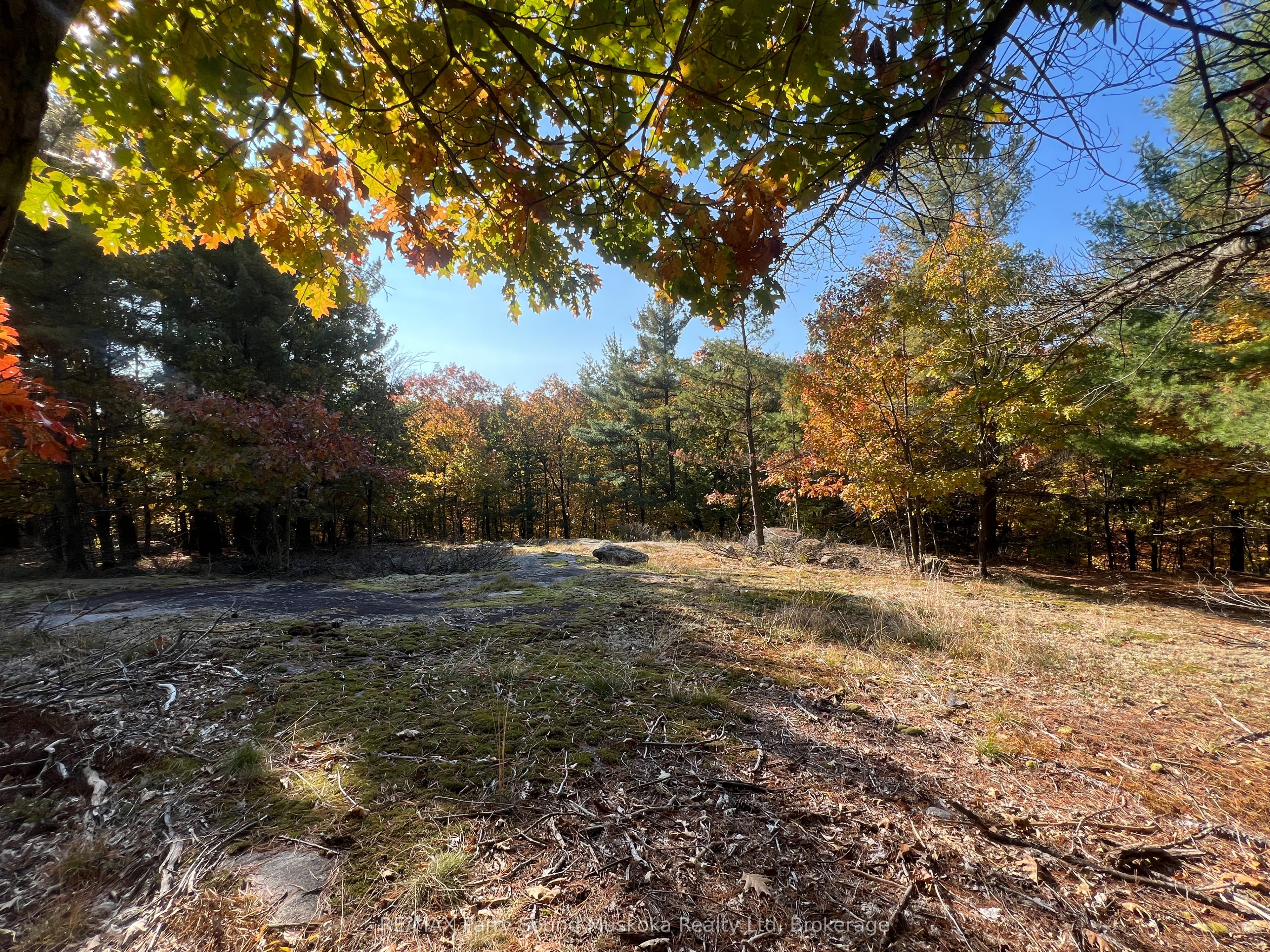 13 Ridgeway Drive Property Photo 2