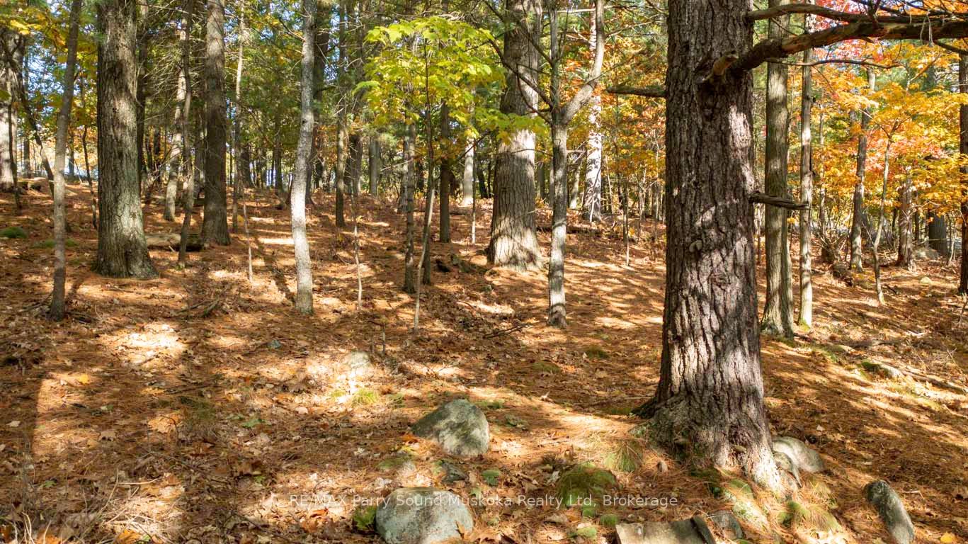 13 Ridgeway Drive Property Photo 8
