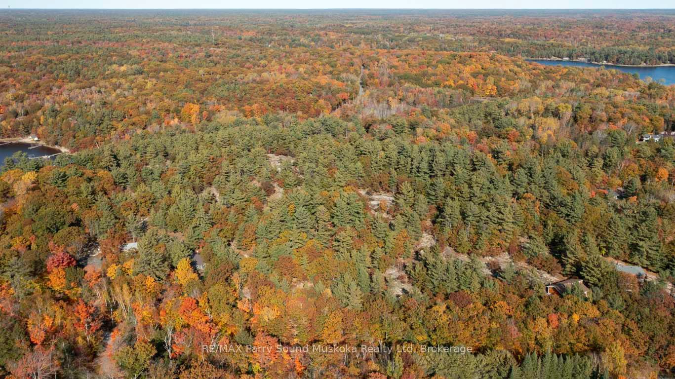 13 Ridgeway Drive Property Photo 21