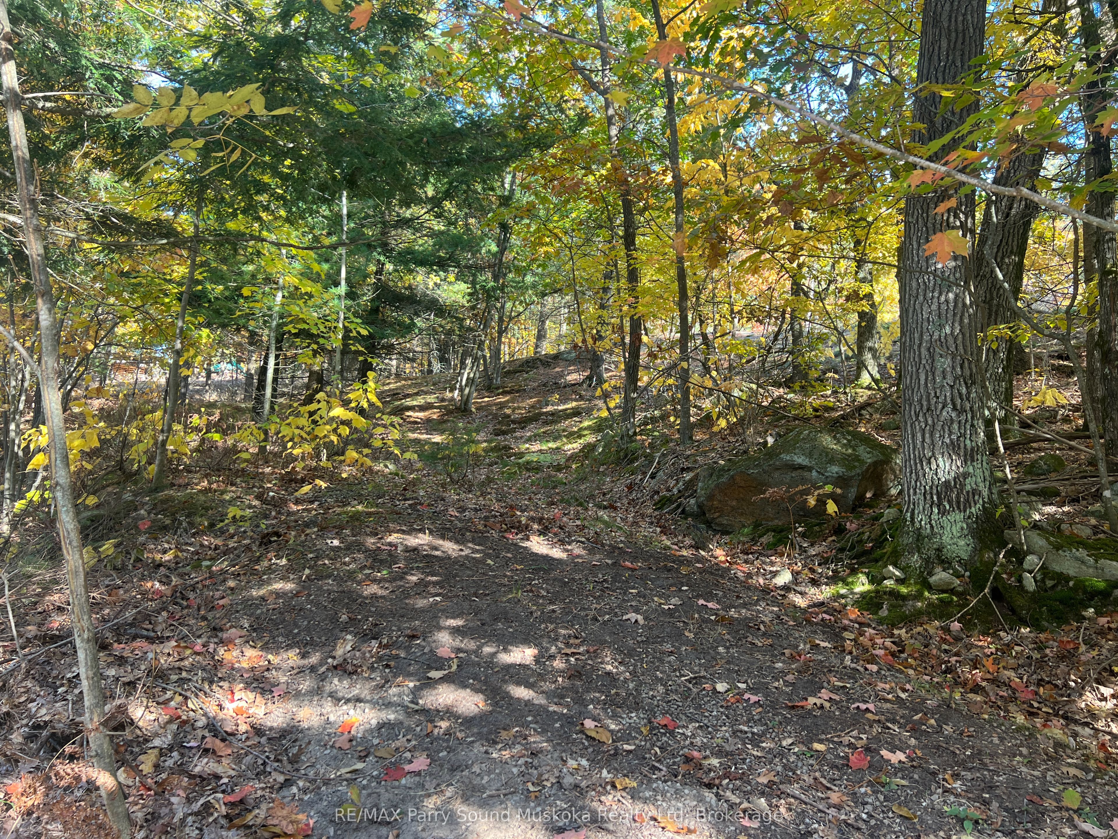 13 Ridgeway Drive Property Photo 25