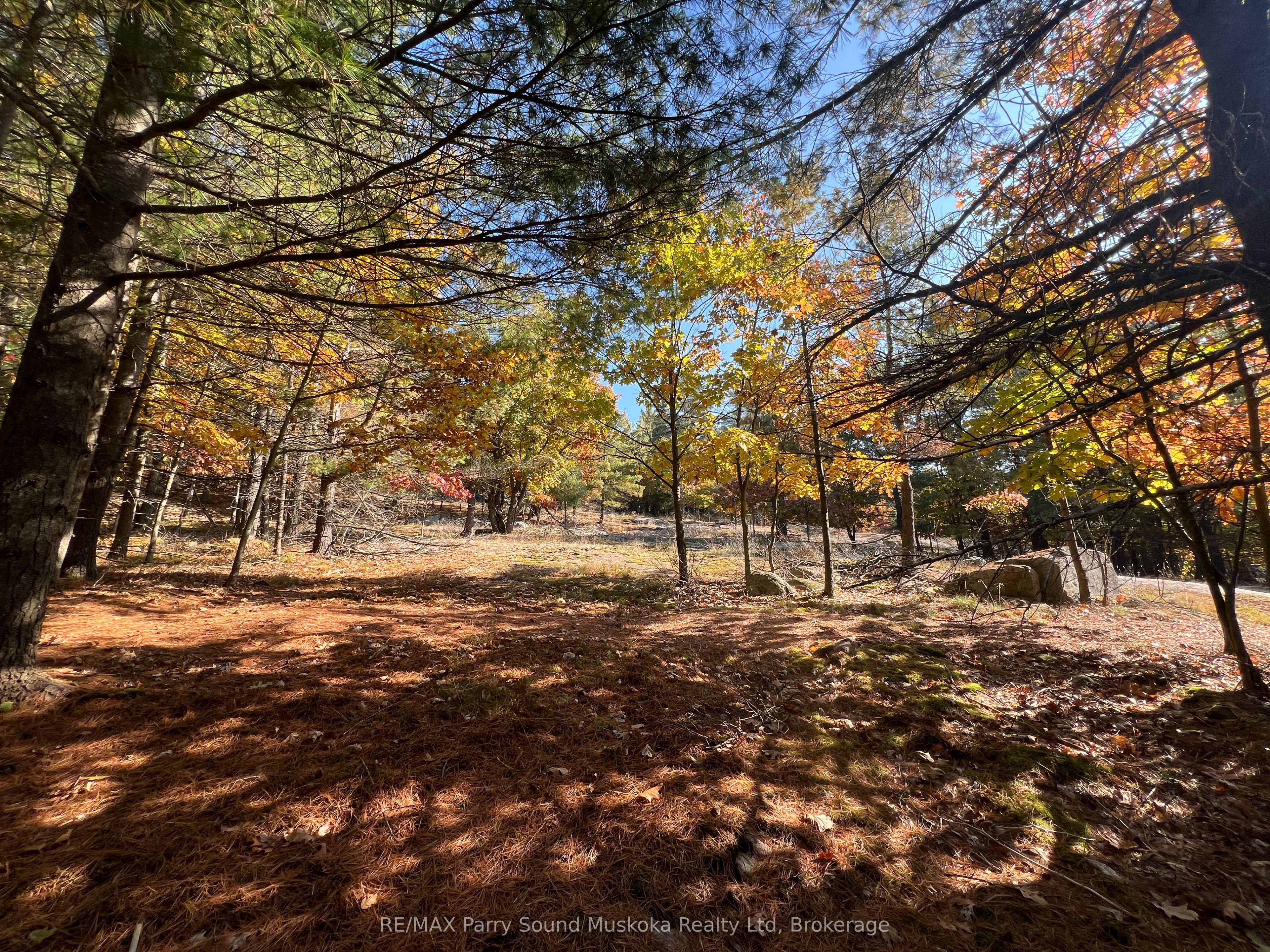 13 Ridgeway Drive Property Photo 27