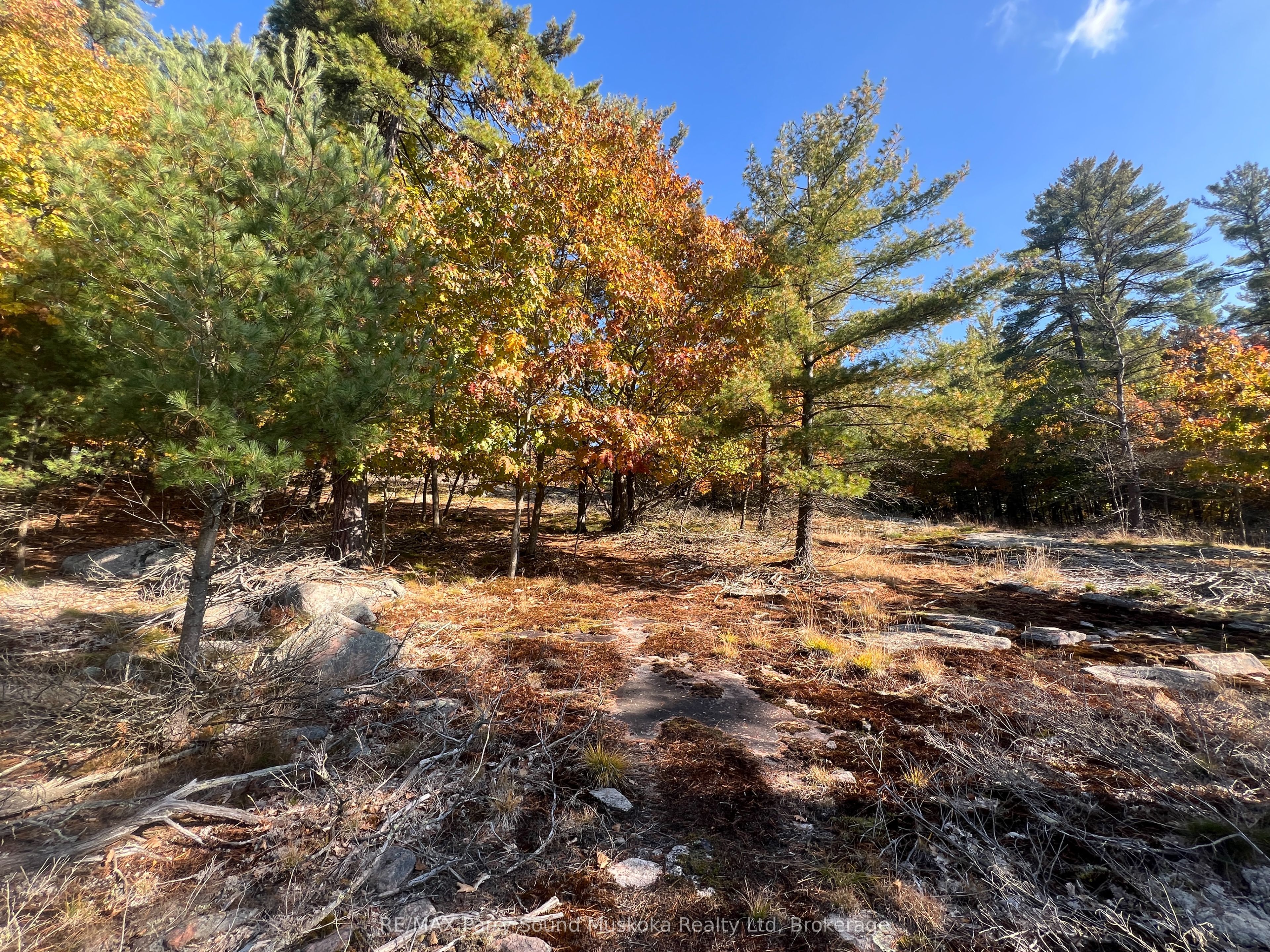 13 Ridgeway Drive Property Photo 28