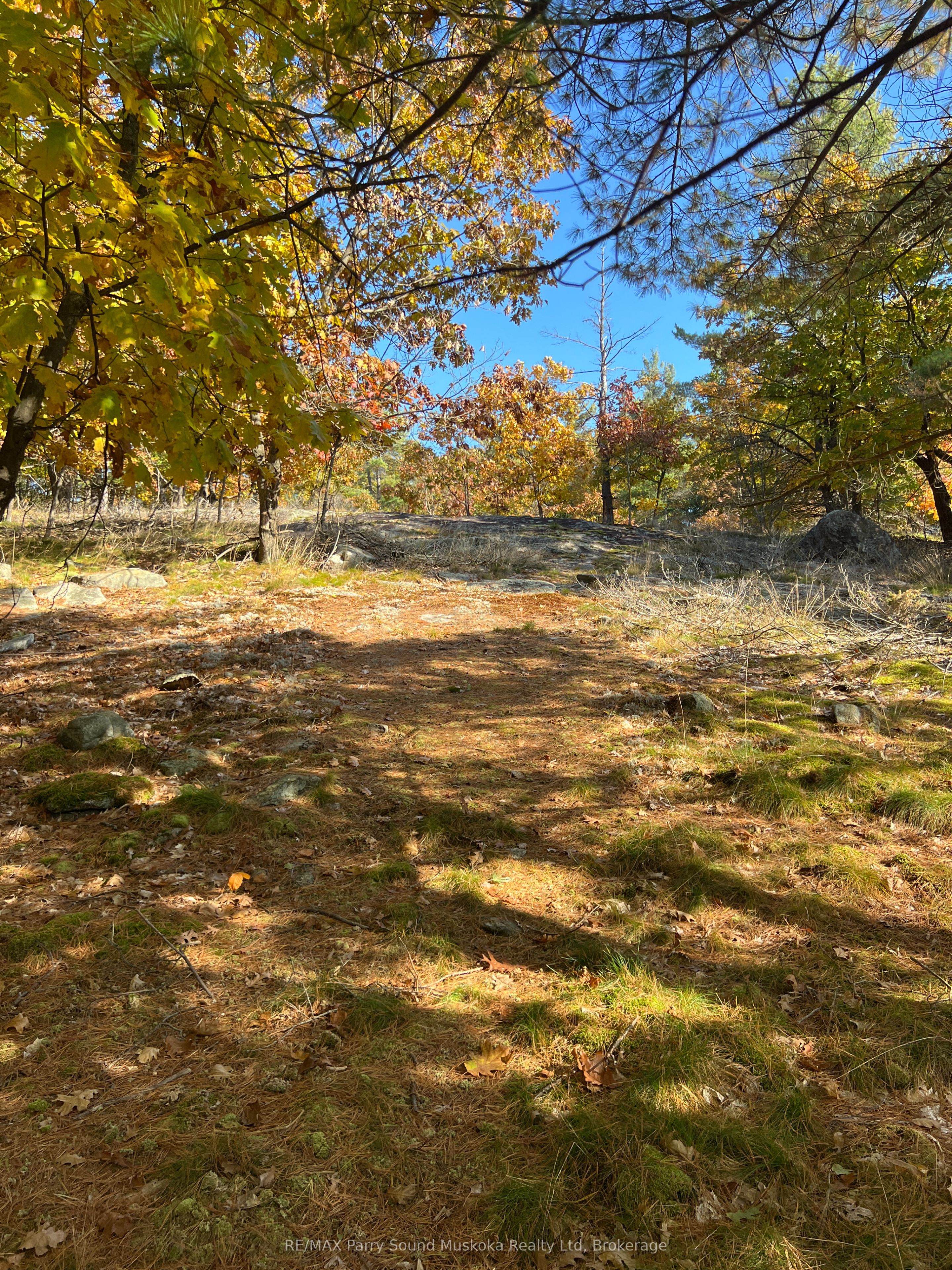 13 Ridgeway Drive Property Photo 29