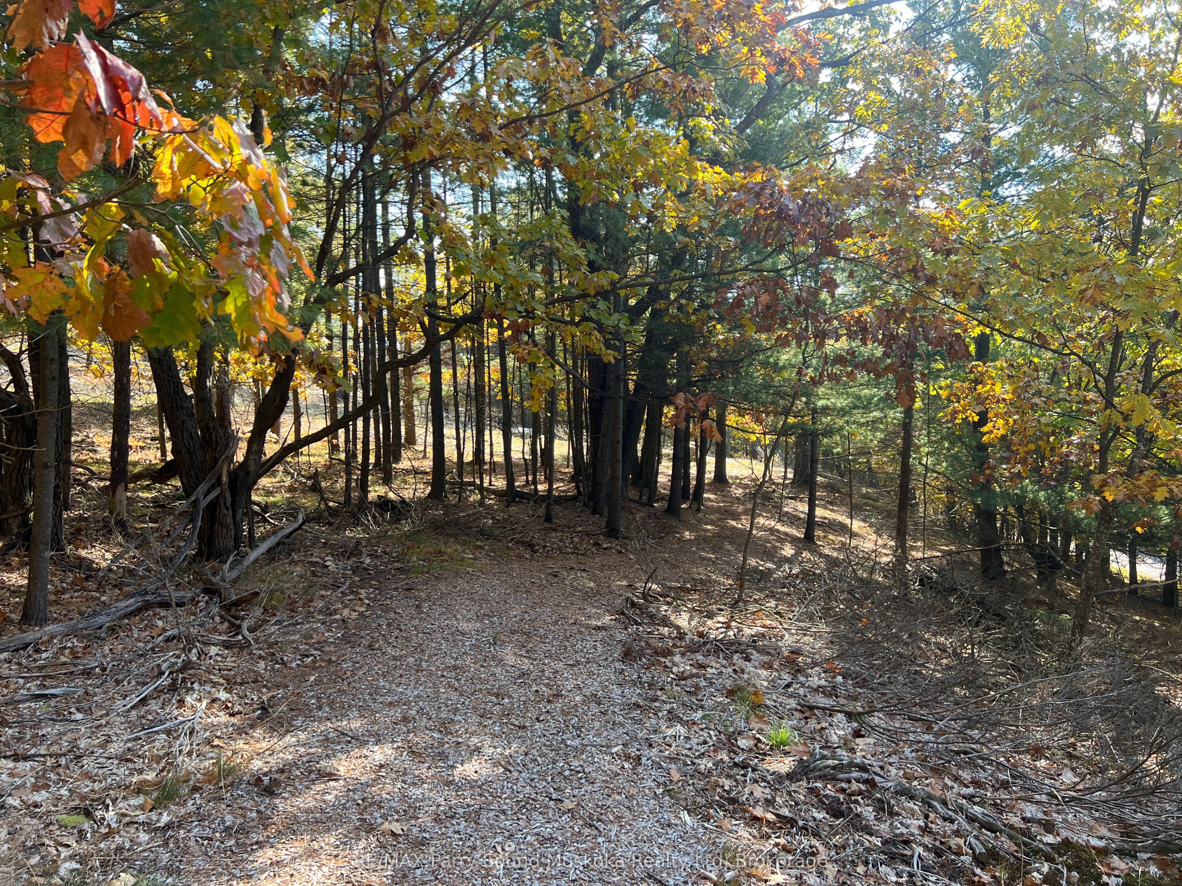 13 Ridgeway Drive Property Photo 30