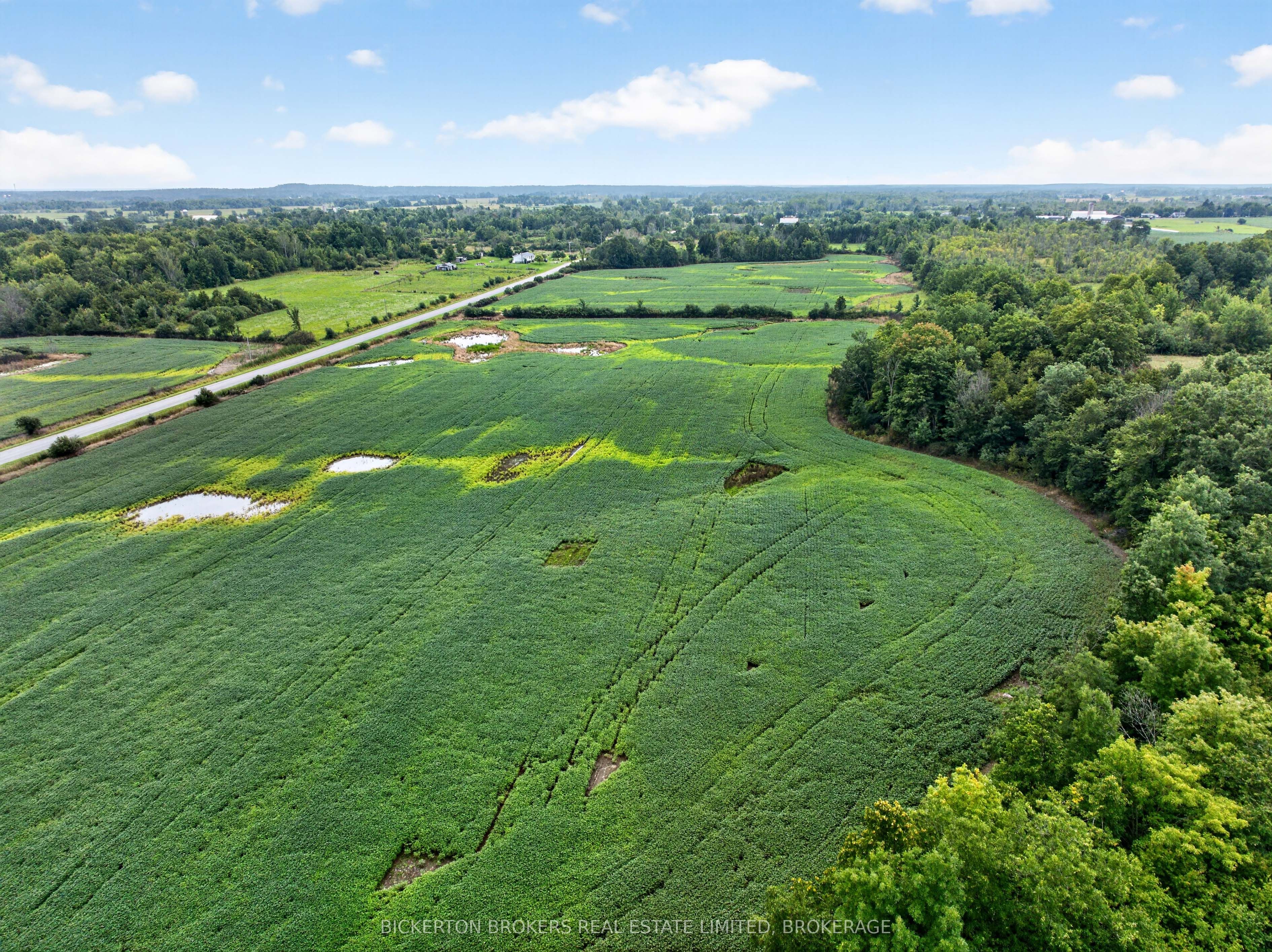 852 Kyes Road Property Photo 12