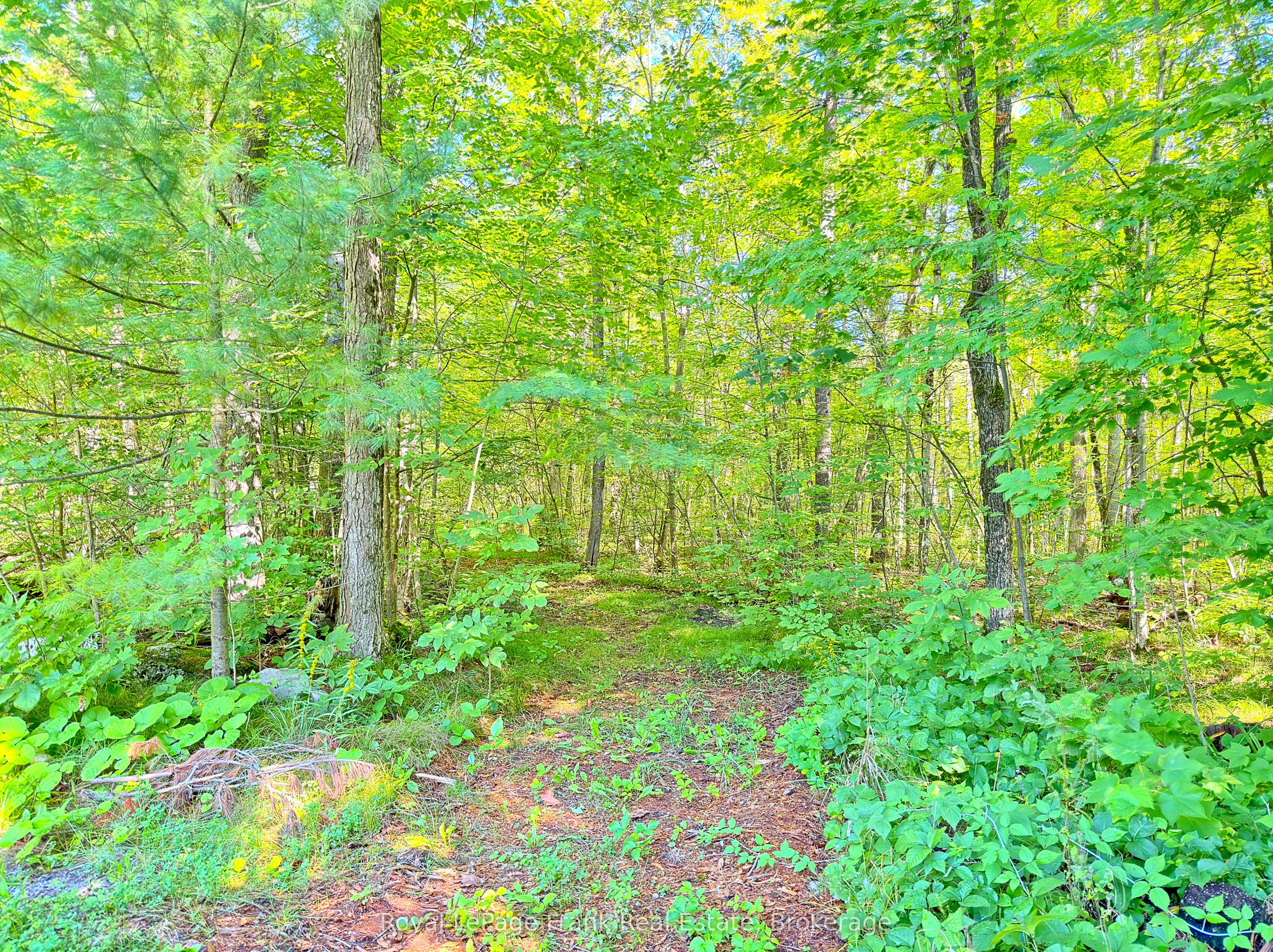 858 Mill Road Property Photo 40