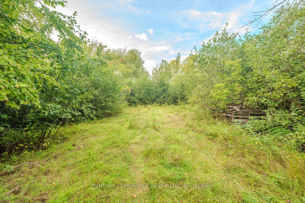 5243 Battersea Road Property Photo 22