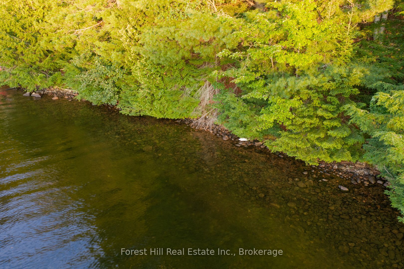 1155 Wolf Circle Property Photo 35