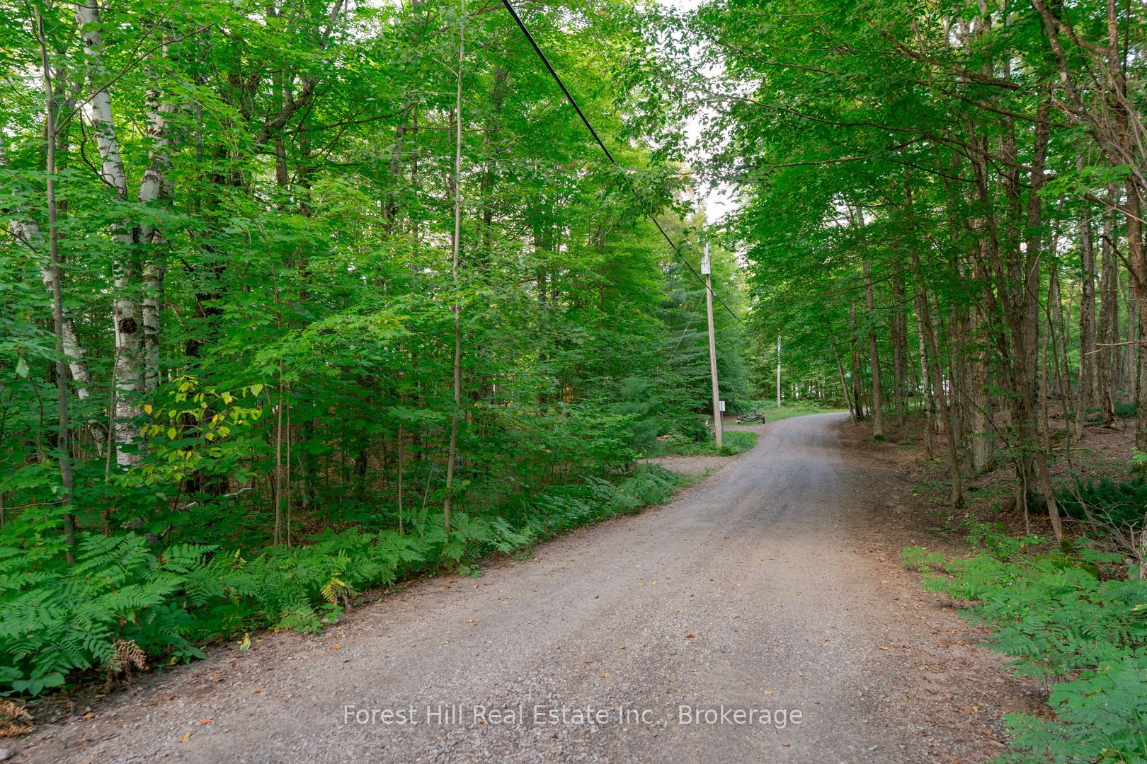 1155 Wolf Circle Property Photo 39