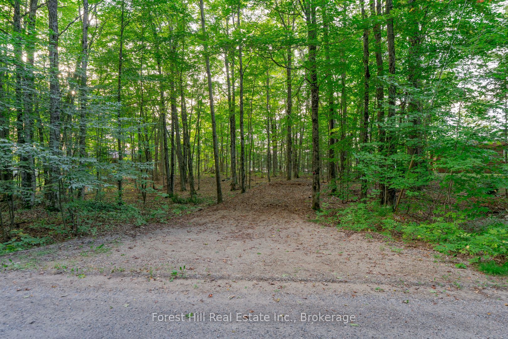 1155 Wolf Circle Property Photo 40