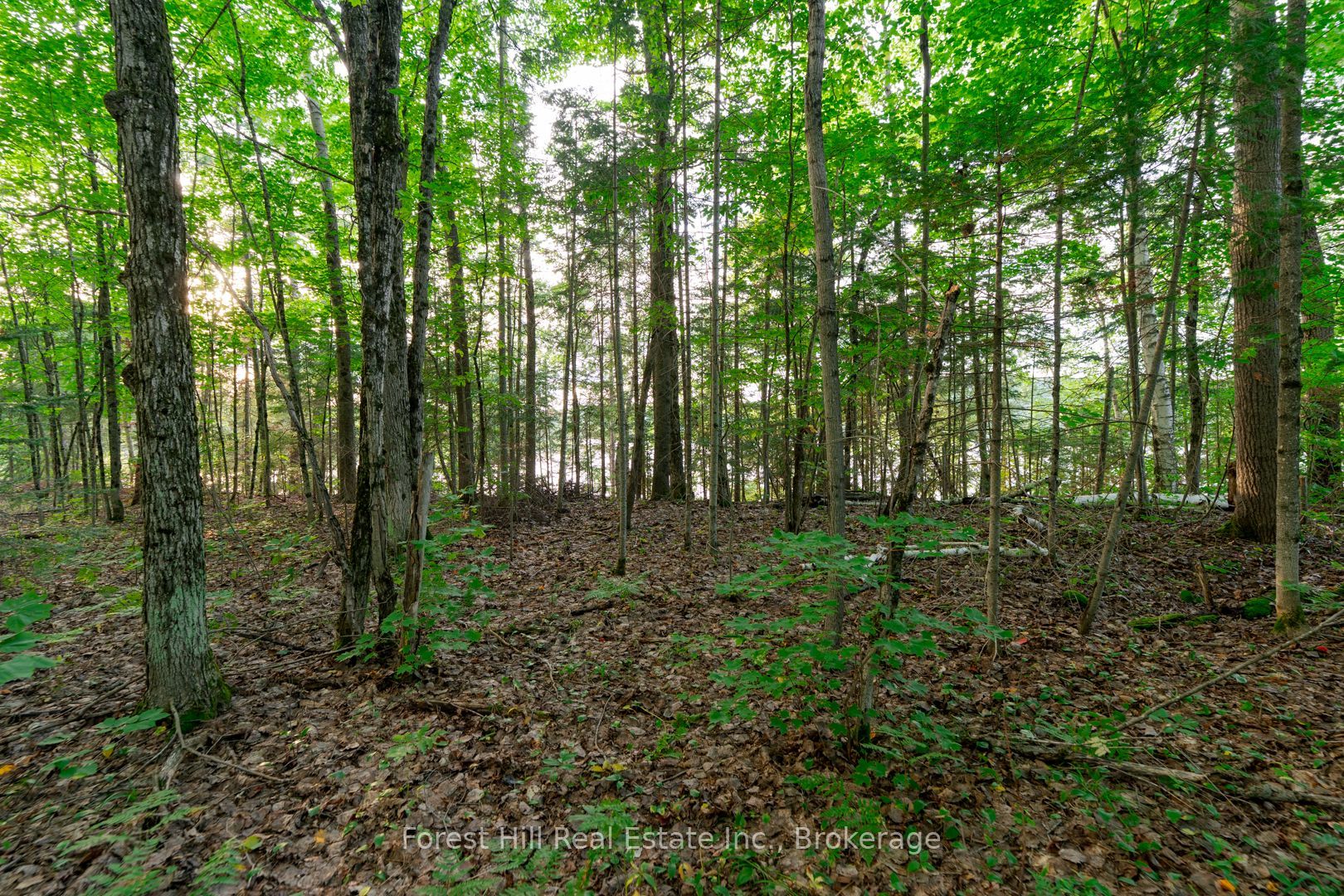 1155 Wolf Circle Property Photo 43
