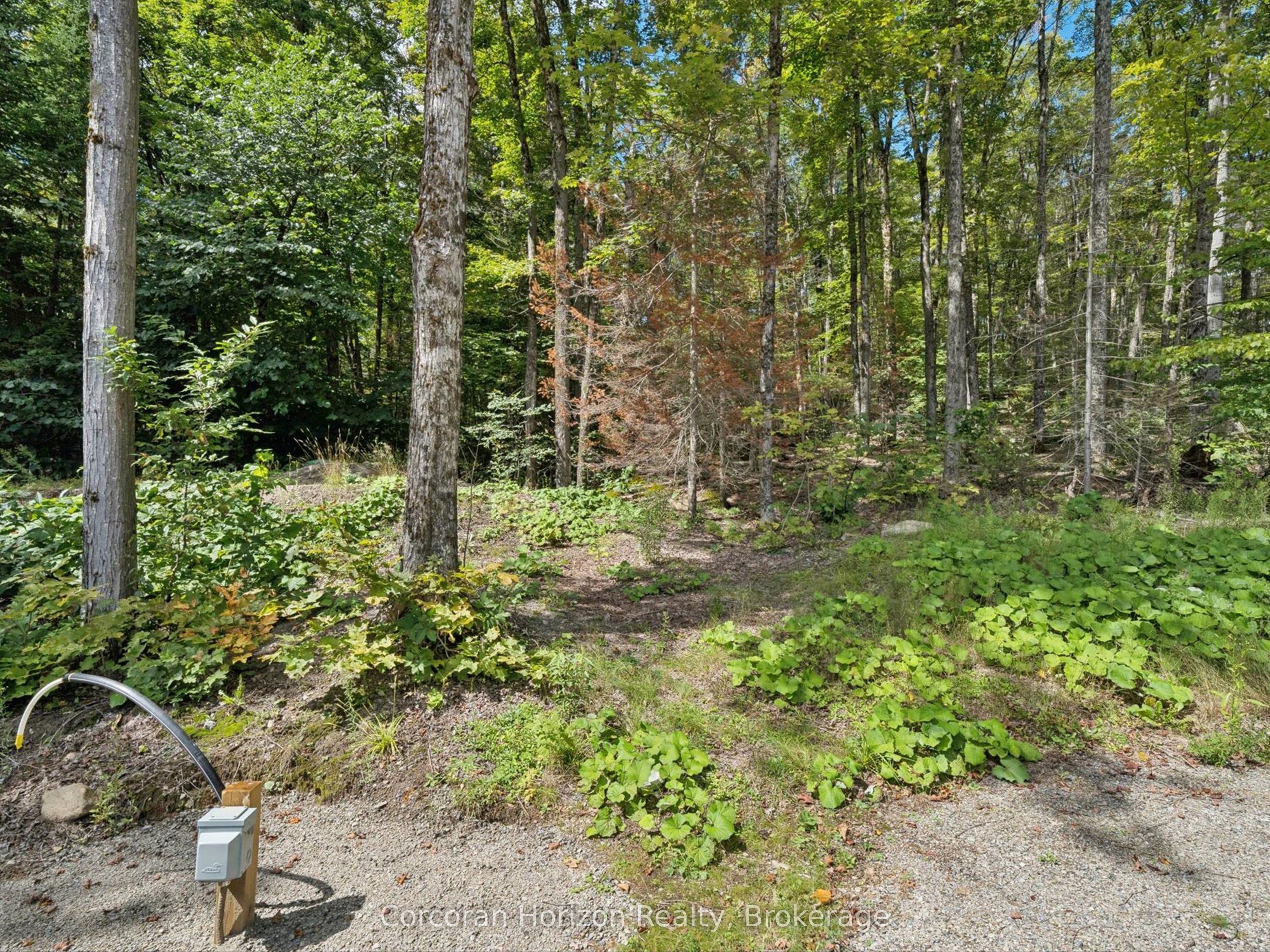 1211 Pluto Trail Property Photo 32