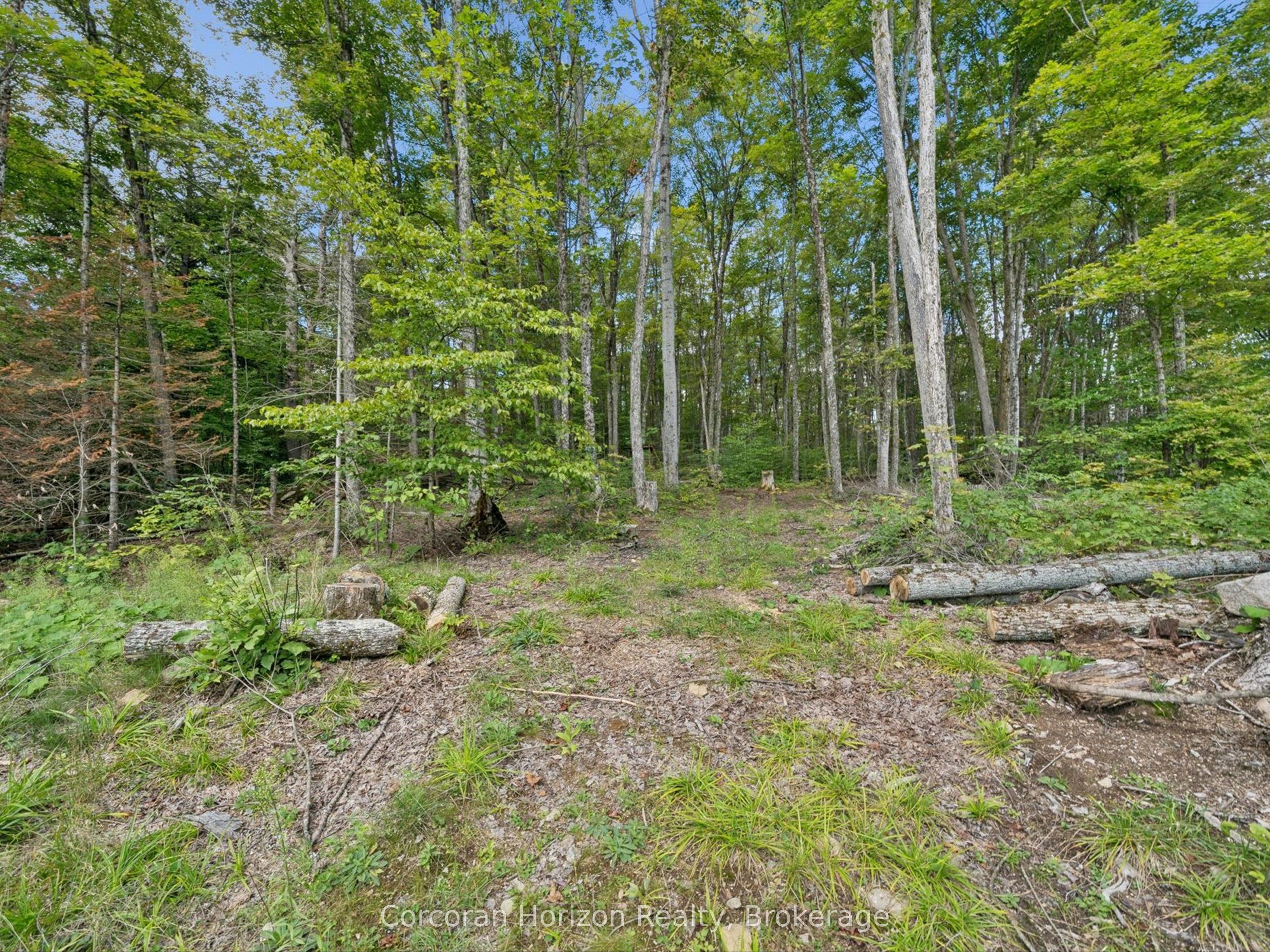 1211 Pluto Trail Property Photo 33