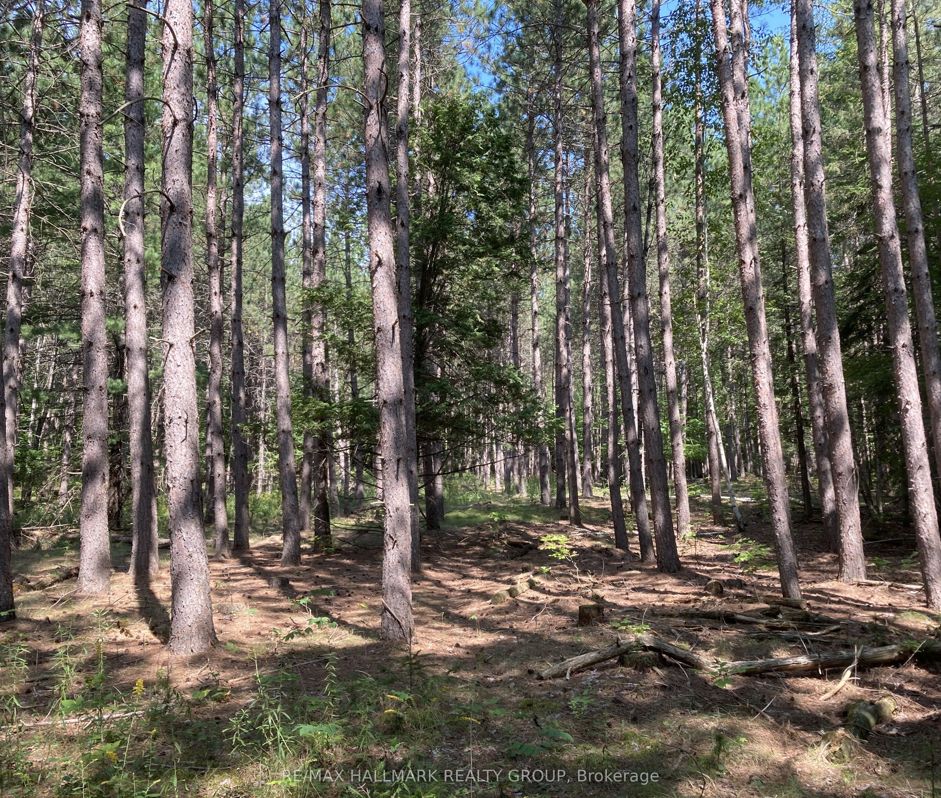 5866 Mcdonalds Corners Road Property Photo 1