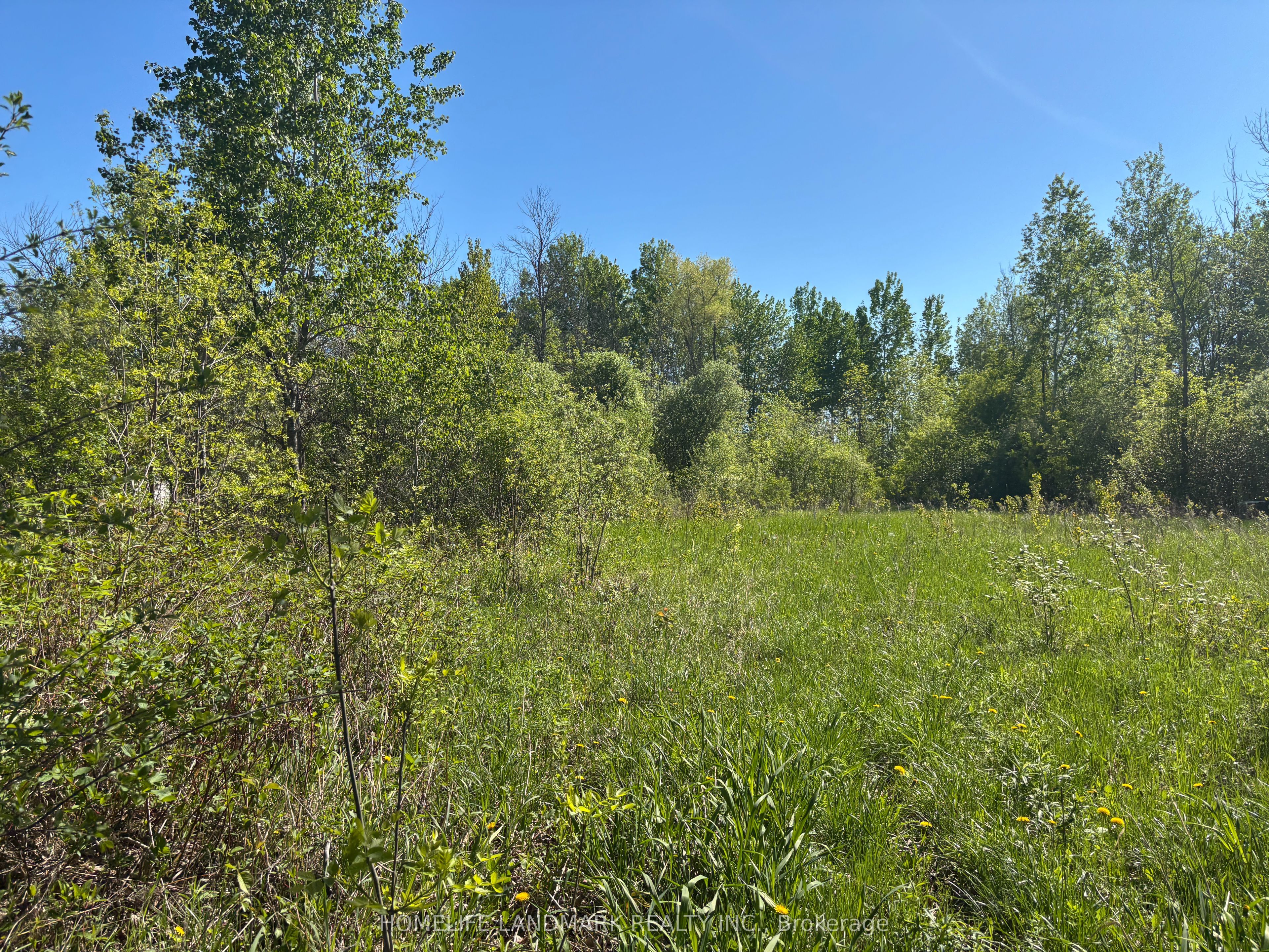 3485 Smith Road Property Photo 4