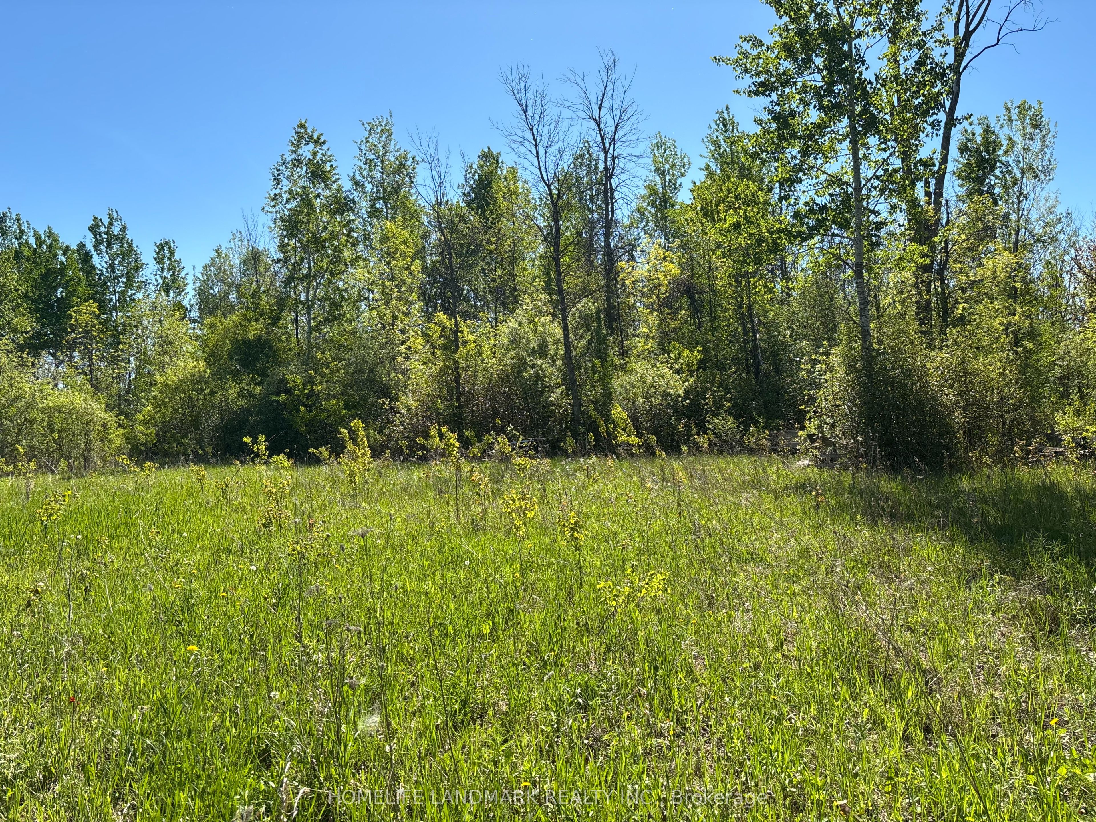 3485 Smith Road Property Photo 5