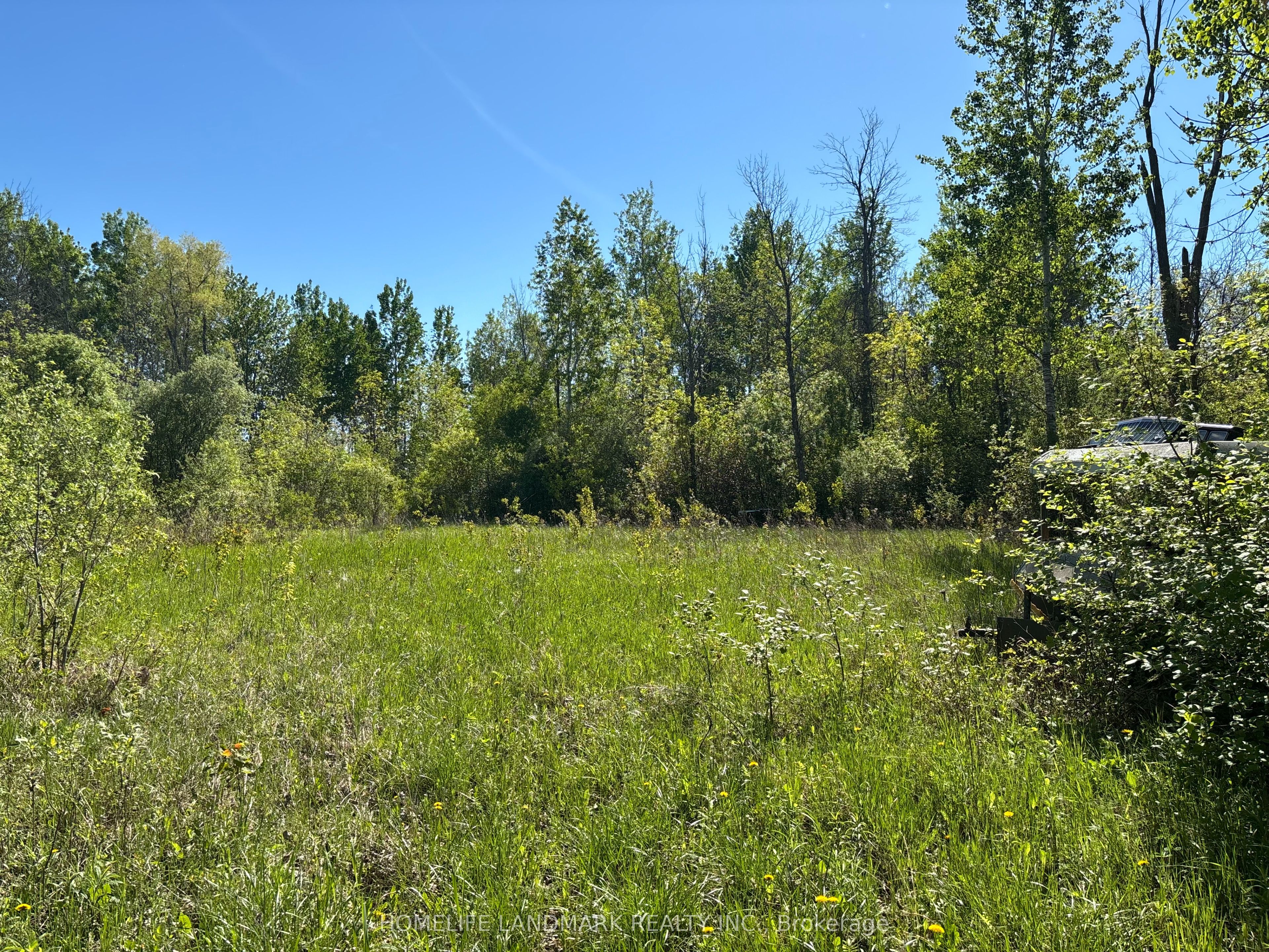 3485 Smith Road Property Photo 6