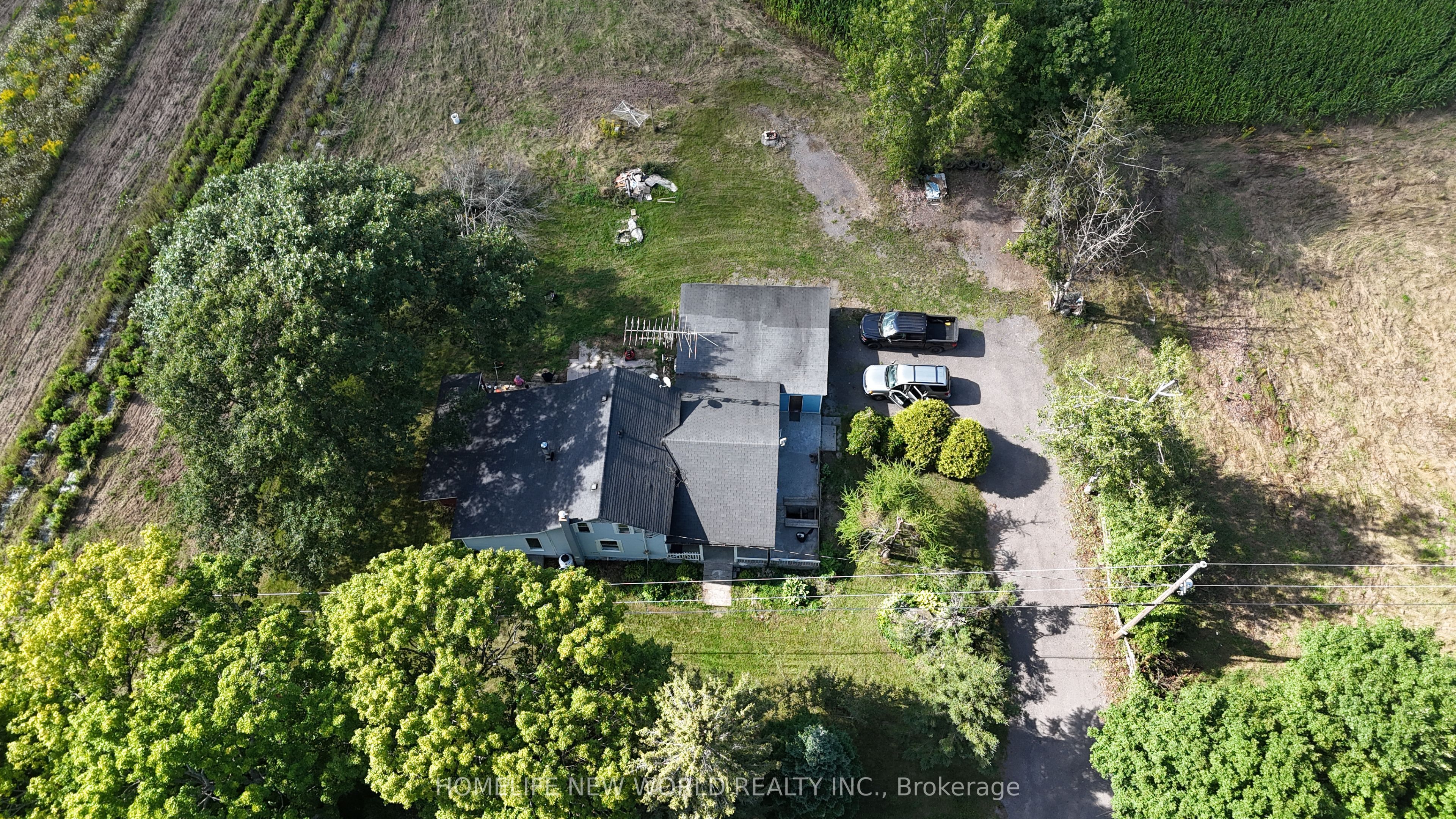 814 Thomasburg Road Property Photo 6