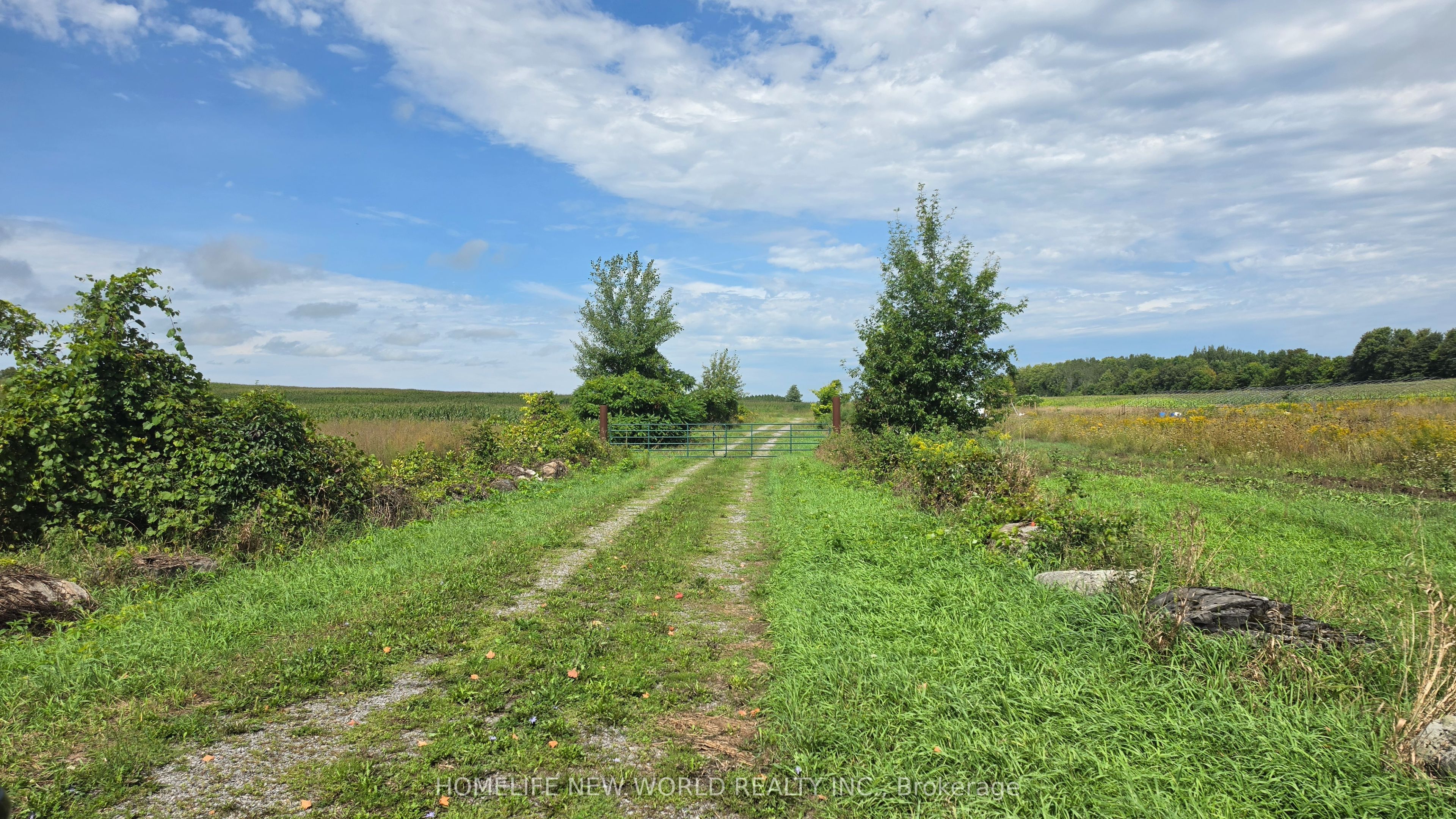 814 Thomasburg Road Property Photo 23