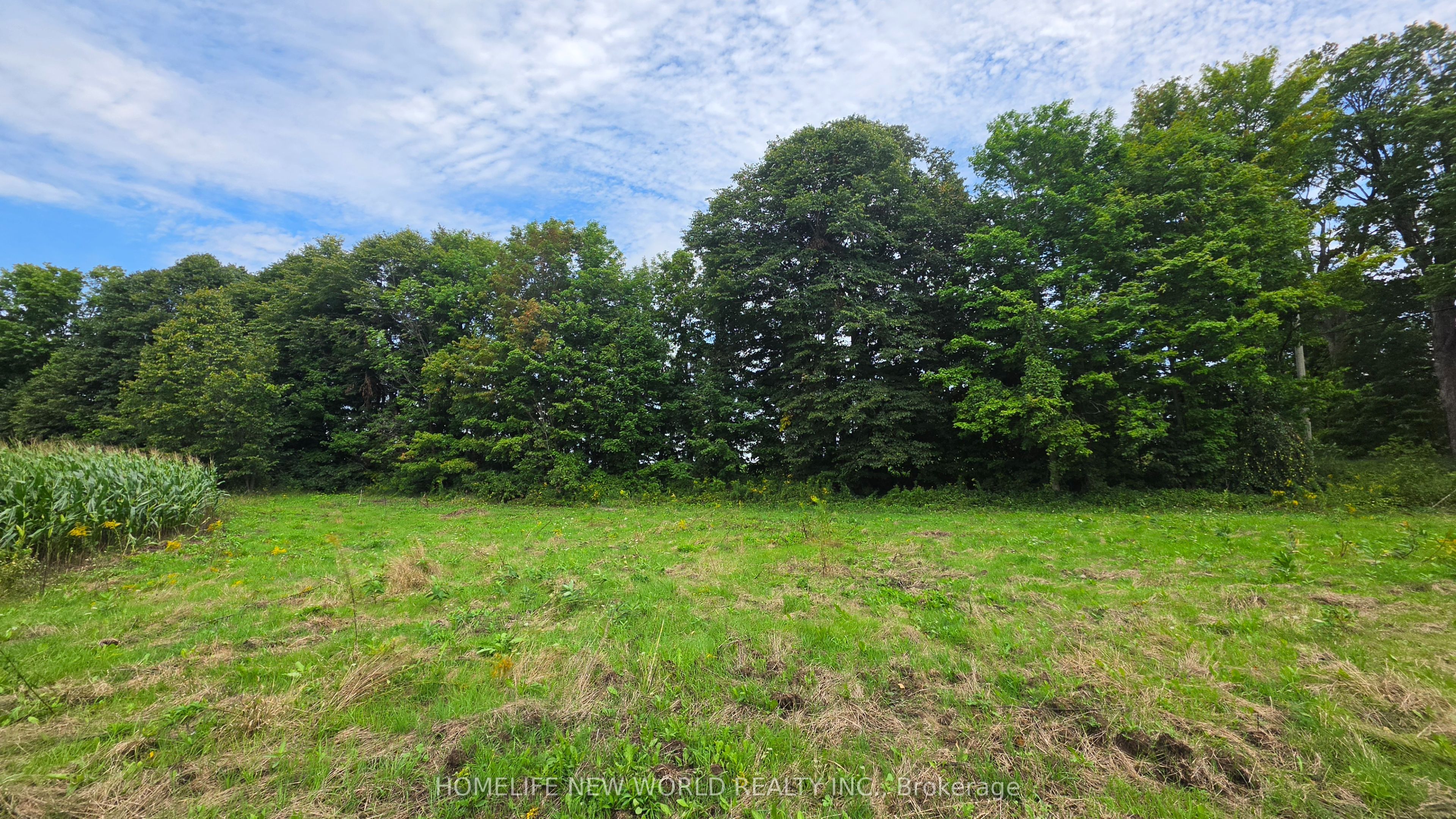 814 Thomasburg Road Property Photo 30