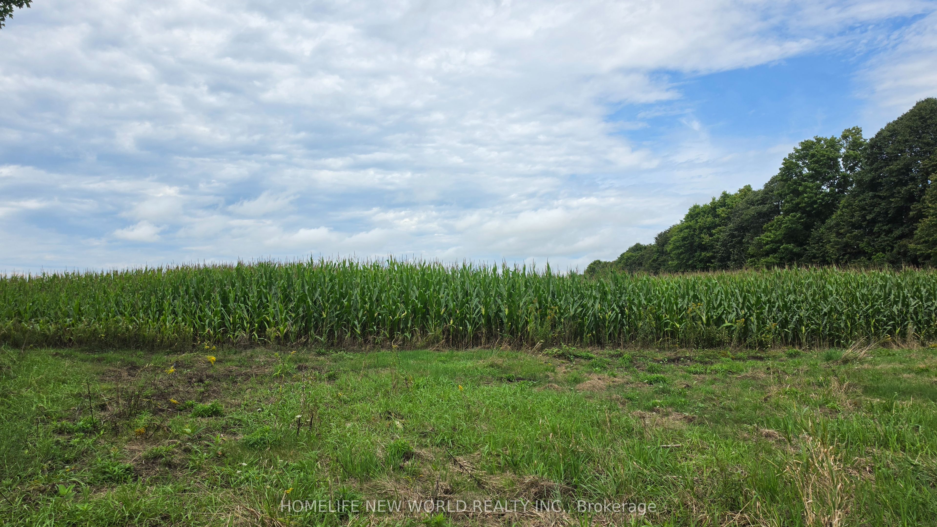 814 Thomasburg Road Property Photo 31