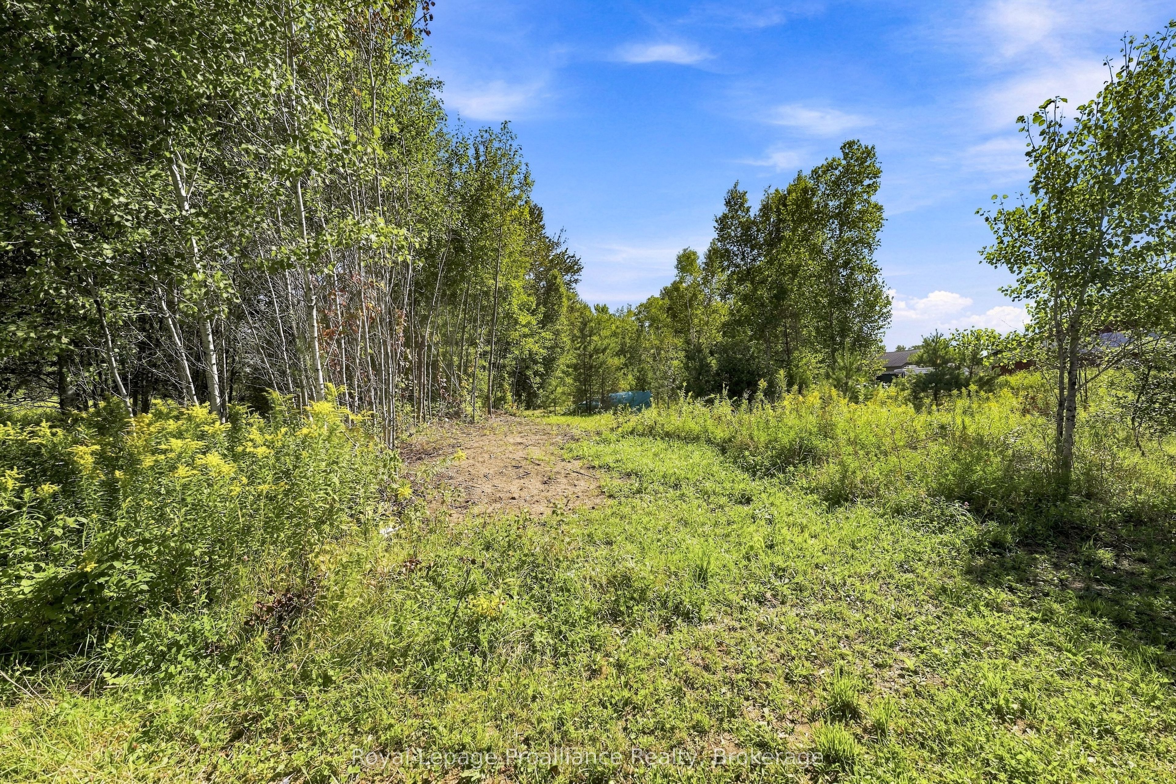 12541 Highway 41 Property Photo 45