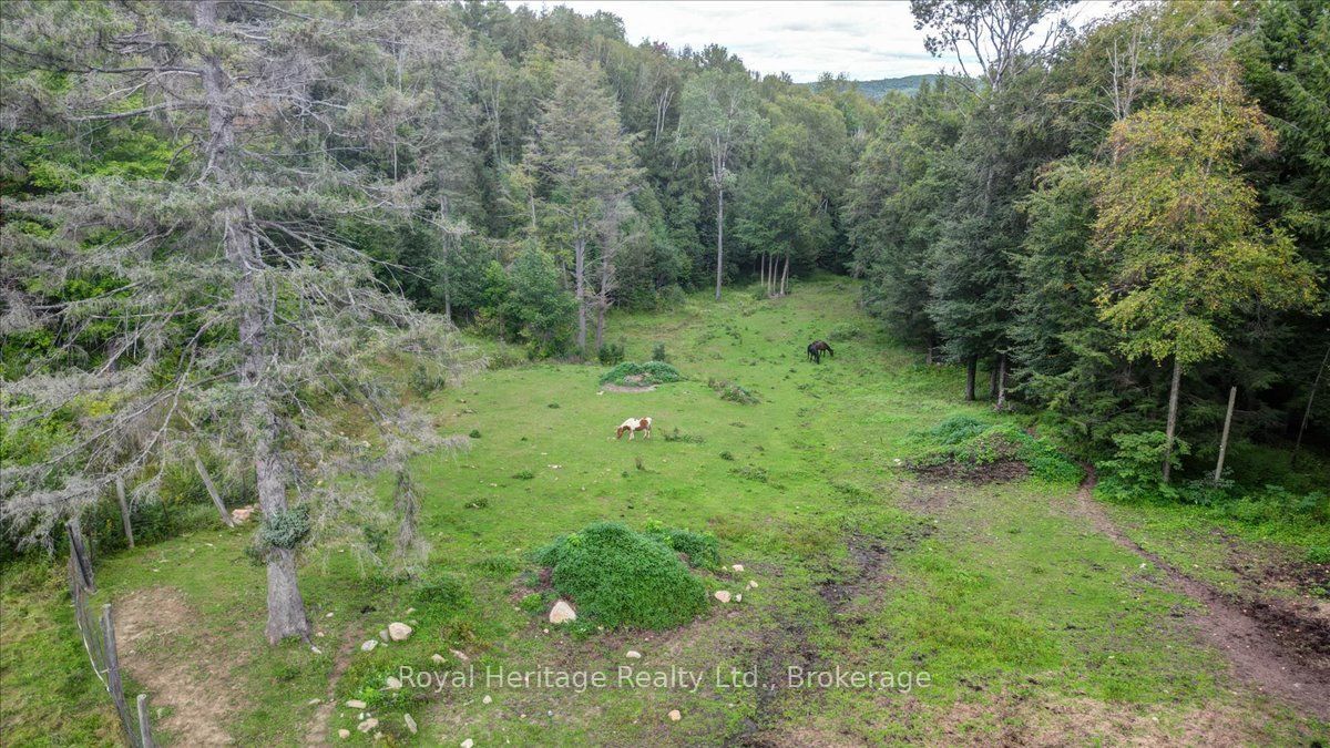 174 Bierworth Road Property Photo 36