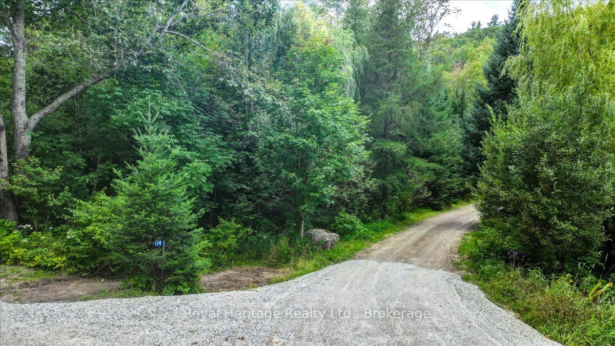 174 Bierworth Road Property Photo 37