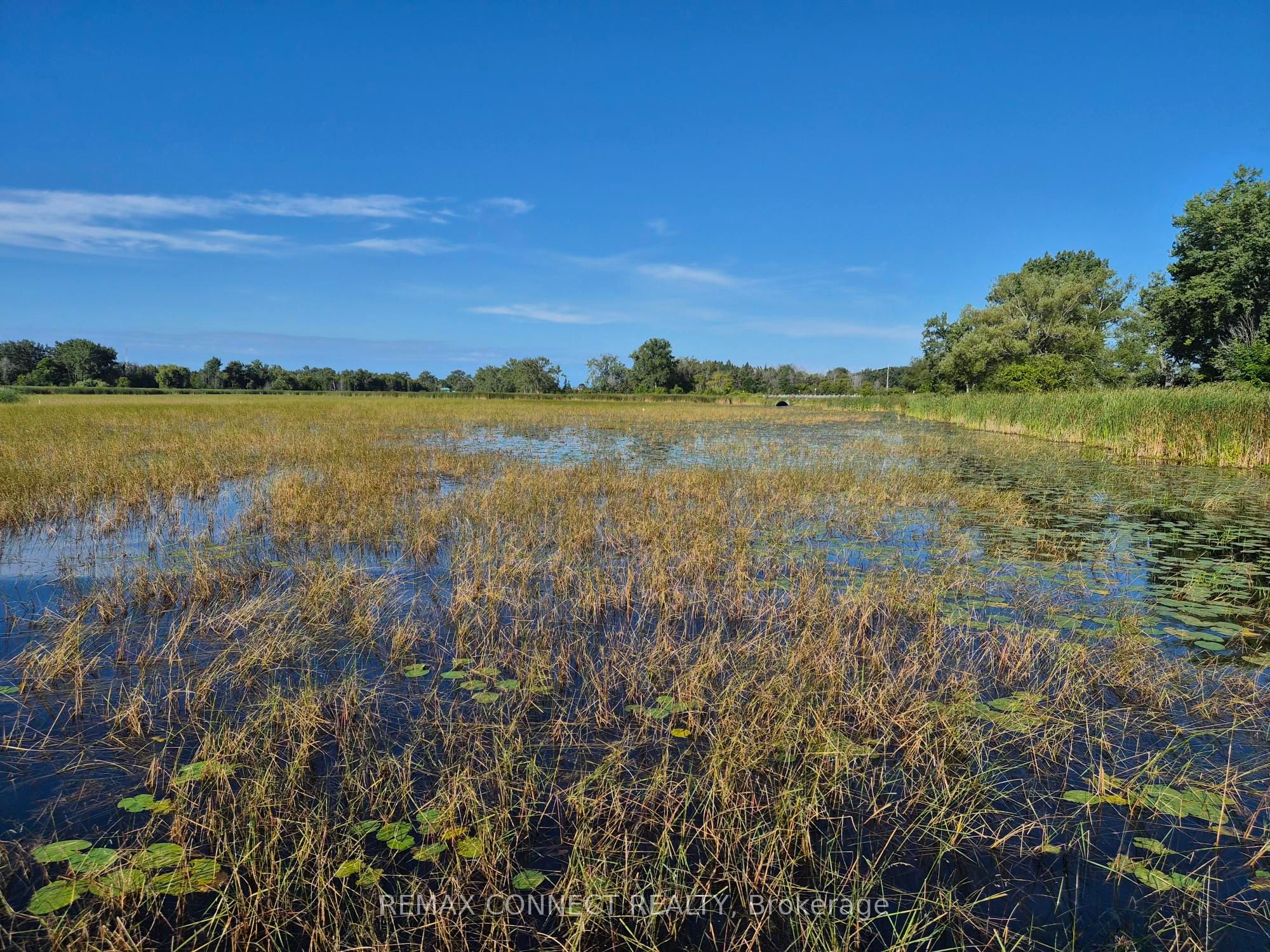 164 Harbour Street Property Photo 16