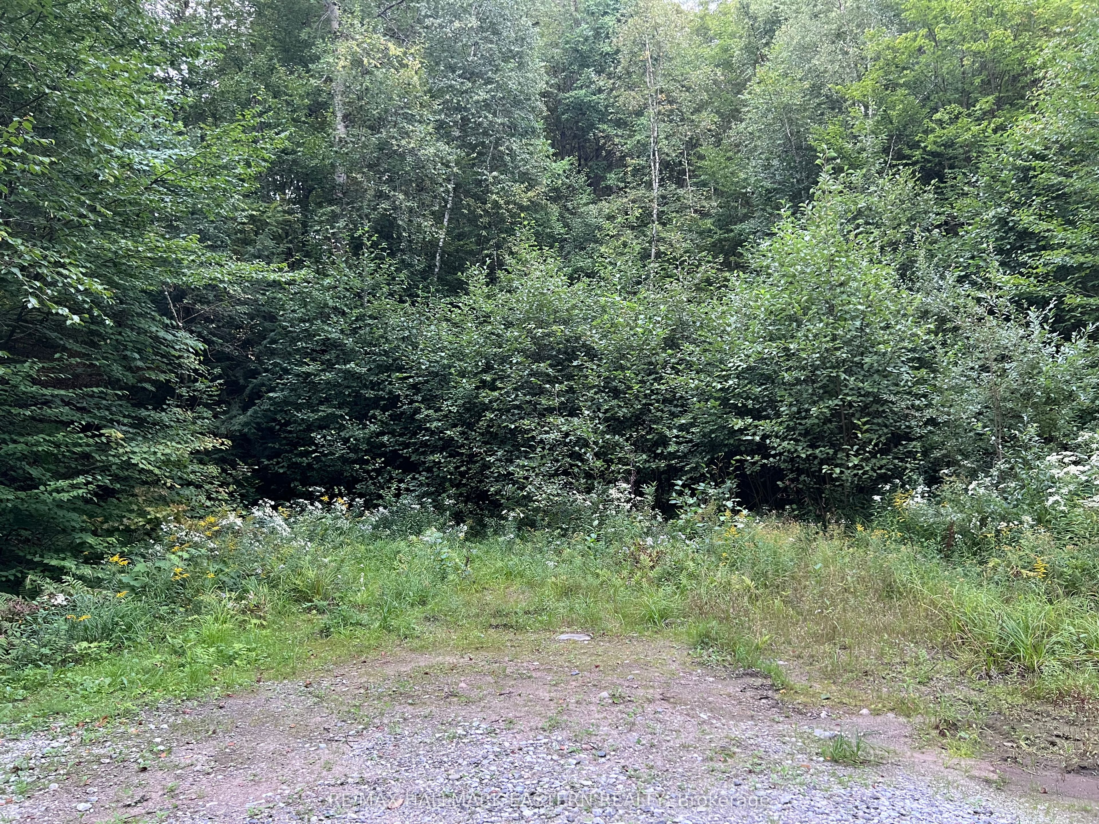 0 Albion Lake Drive Property Photo 10