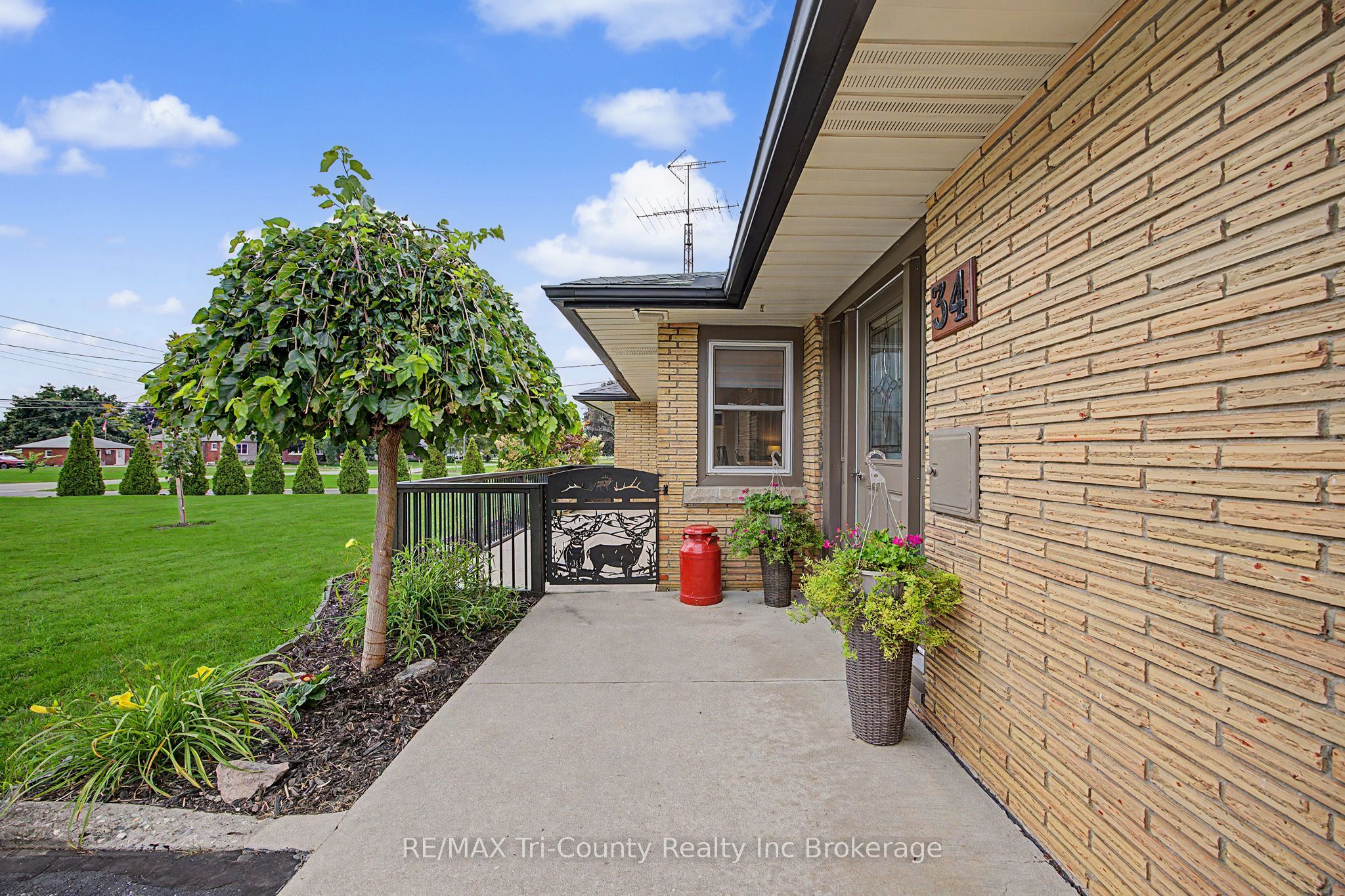34 Albert Street Property Photo 5