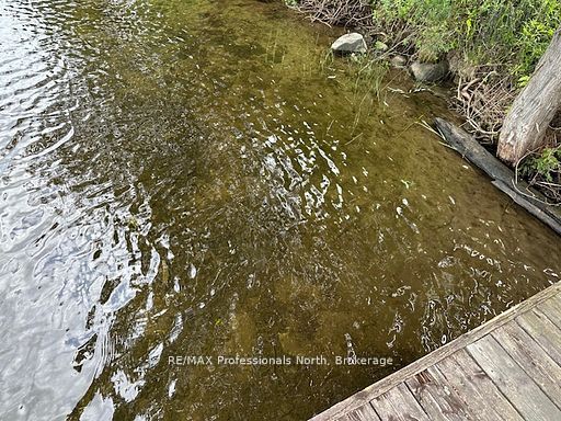 1981 Horseshoe Lake Road Property Photo 44