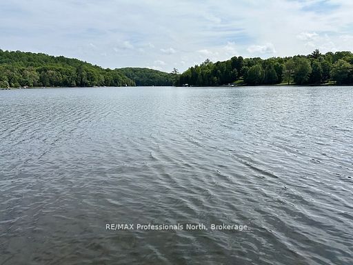1981 Horseshoe Lake Road Property Photo 47