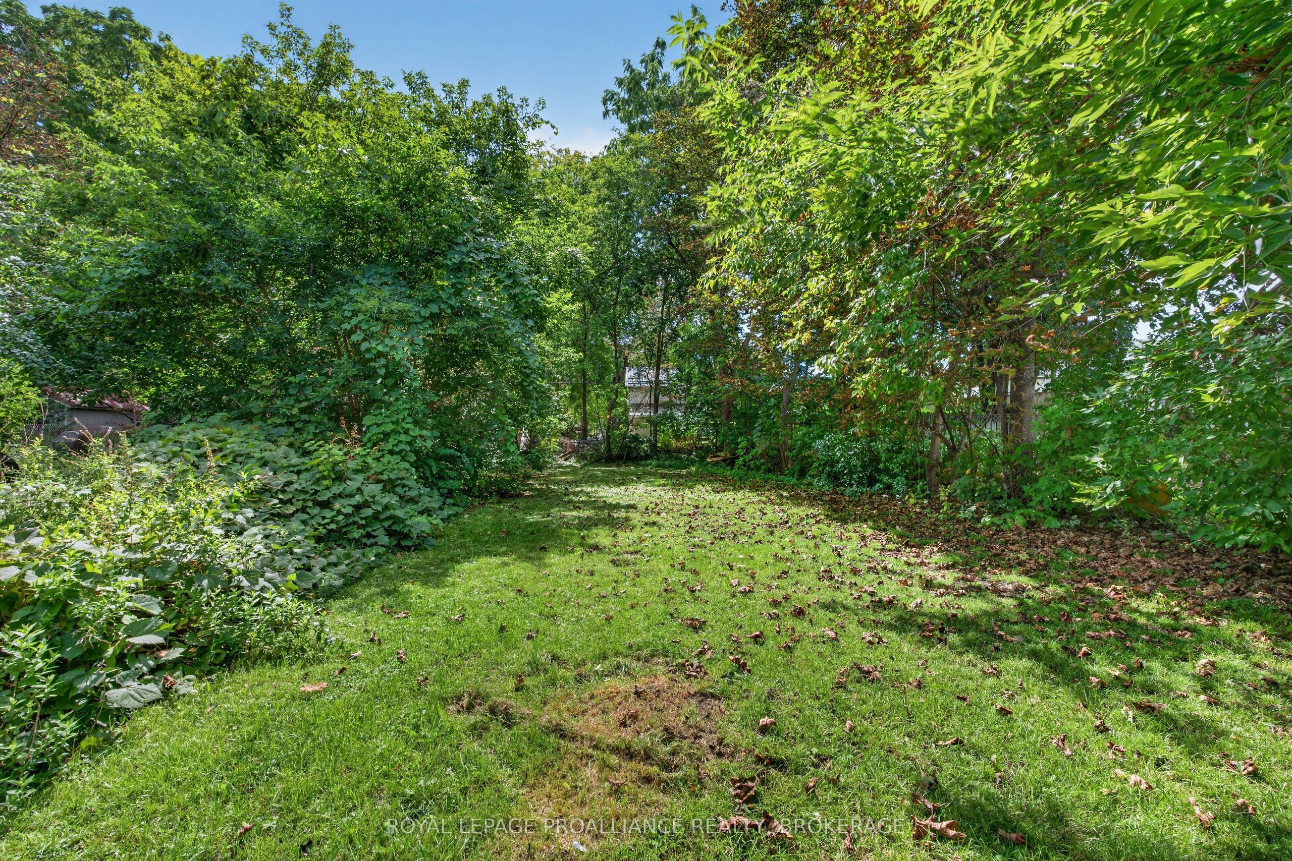 196 York Street Property Photo 18
