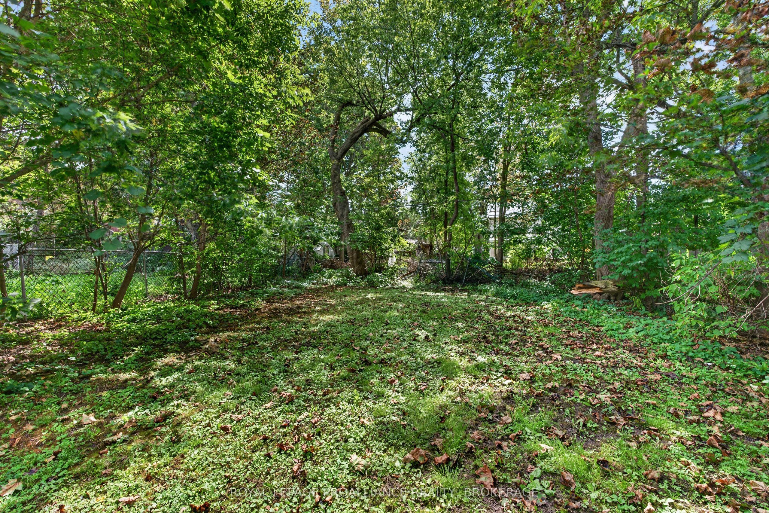 196 York Street Property Photo 19