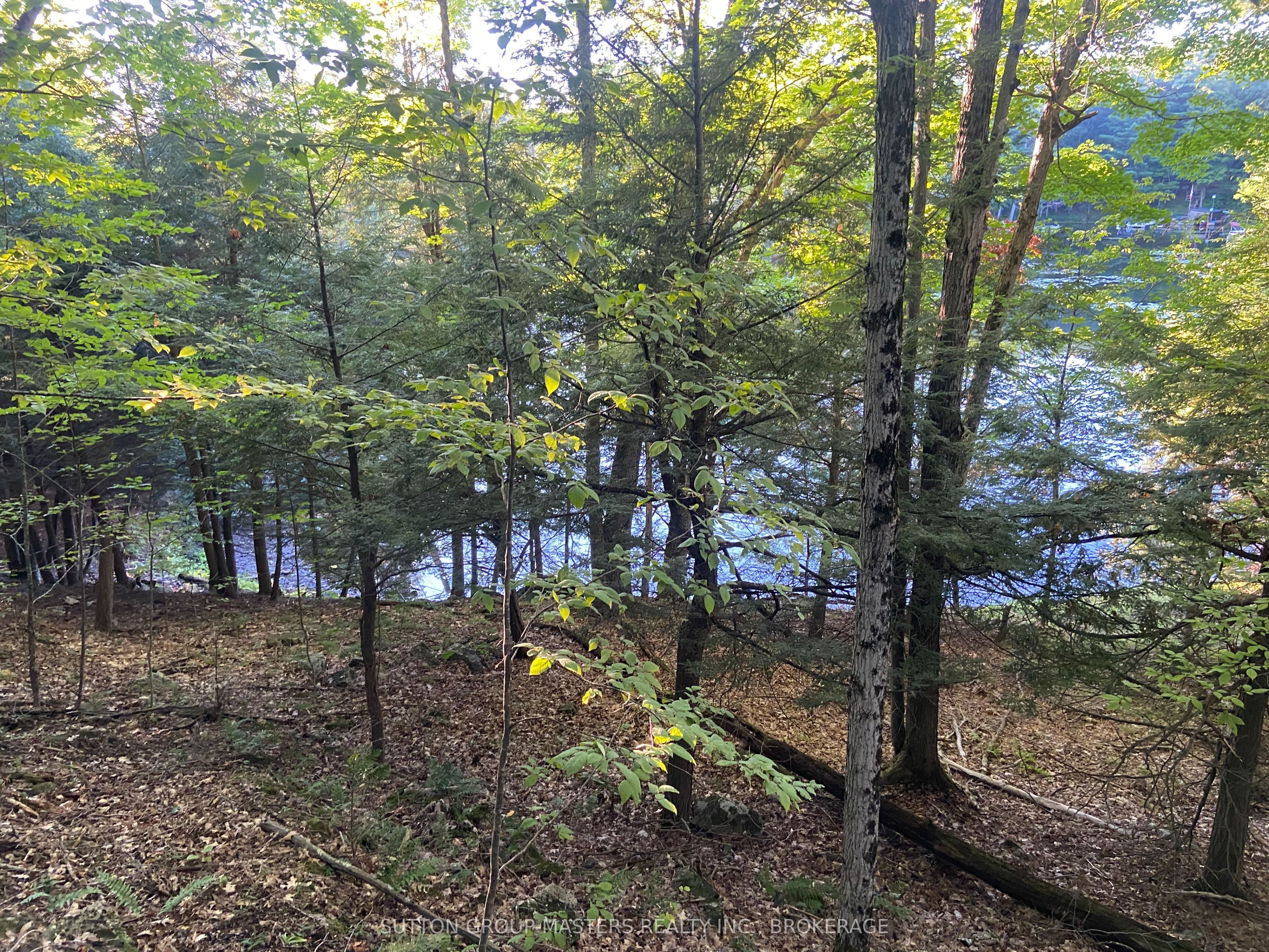 1001 White Lake Road Property Photo 4