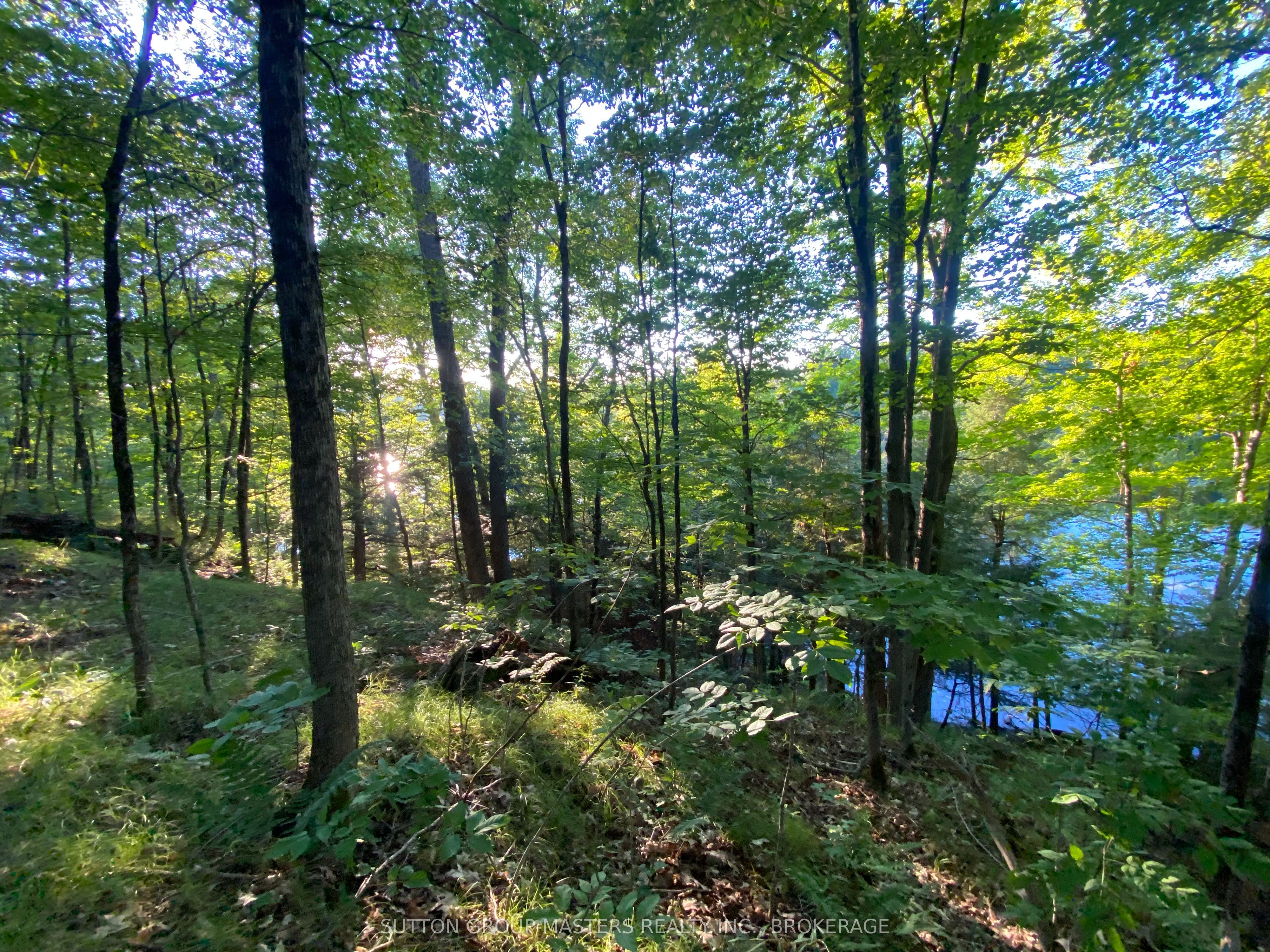1001 White Lake Road Property Photo 5